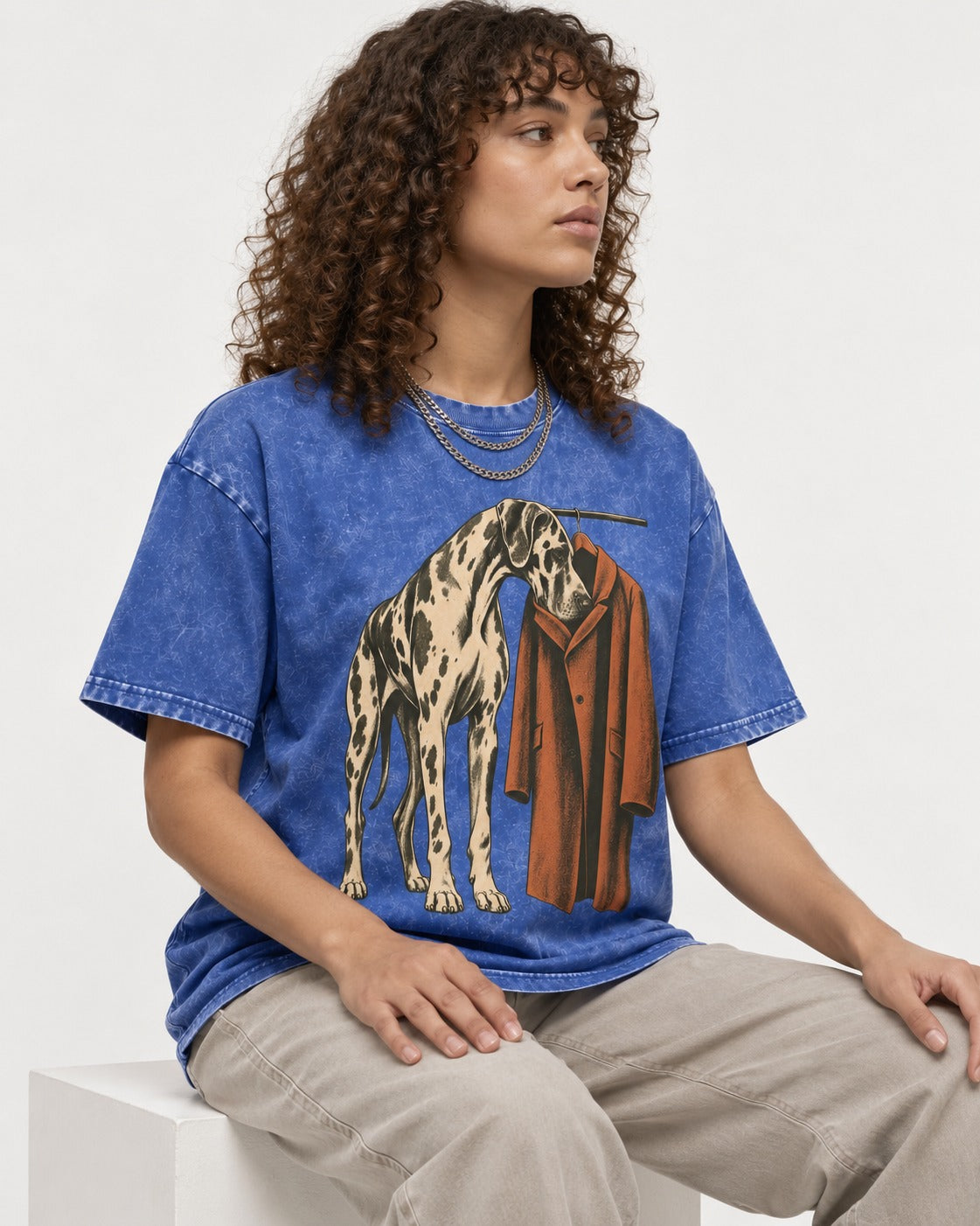 Great Dane Harlequin Coat Rack Overcoat Graphic Washed Tee in Royal Blue, worn by a seated model