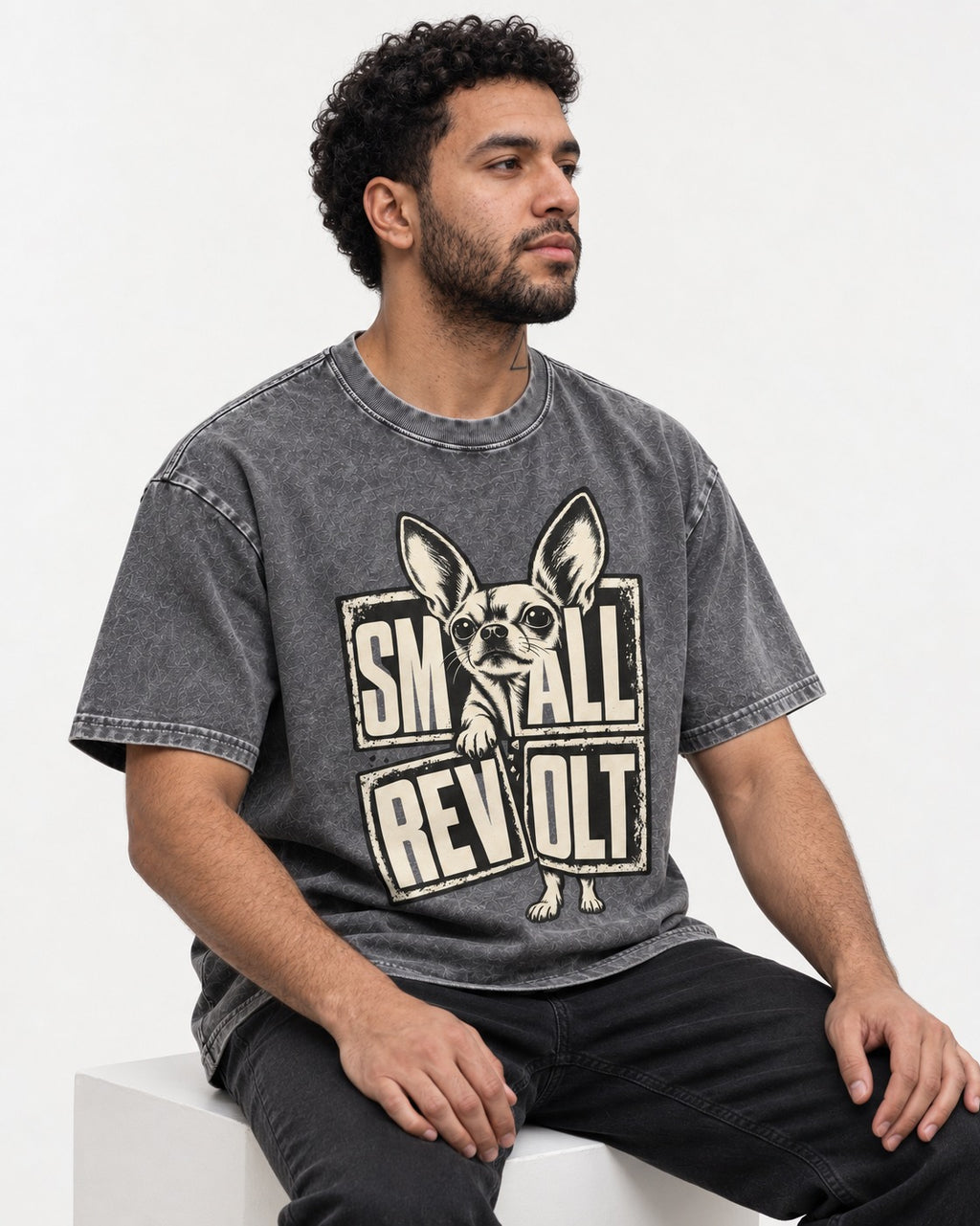 Chihuahua Small Revolt Broken Grid Graphic Washed Tee in Gray, worn by a seated model