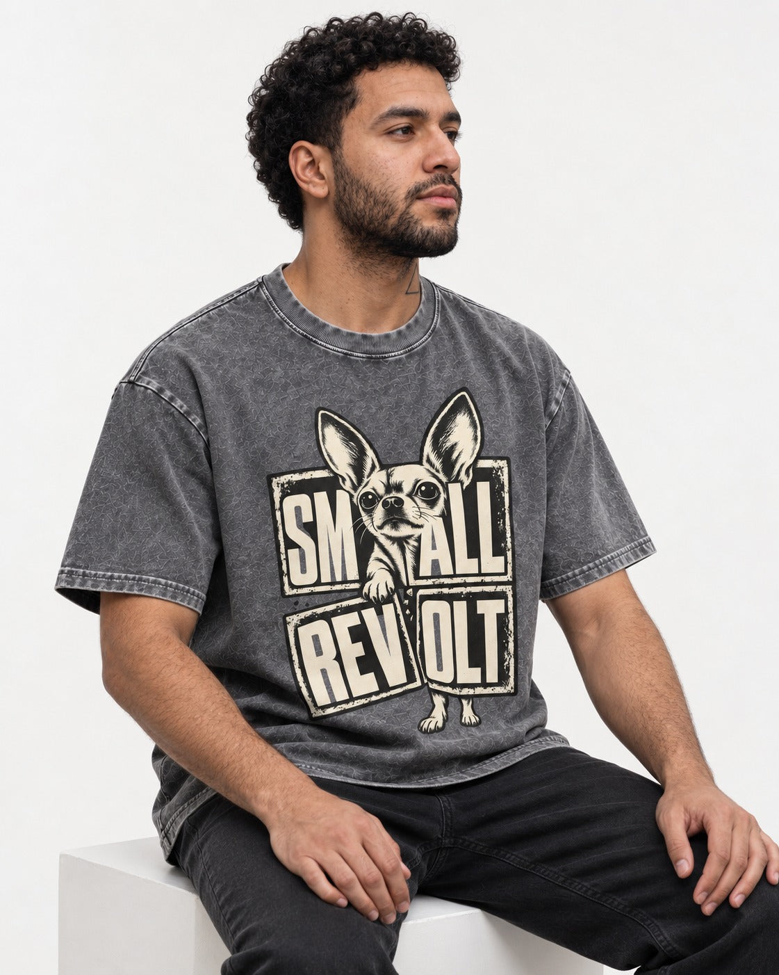 Chihuahua Small Revolt Broken Grid Graphic Washed Tee in Gray, worn by a seated model