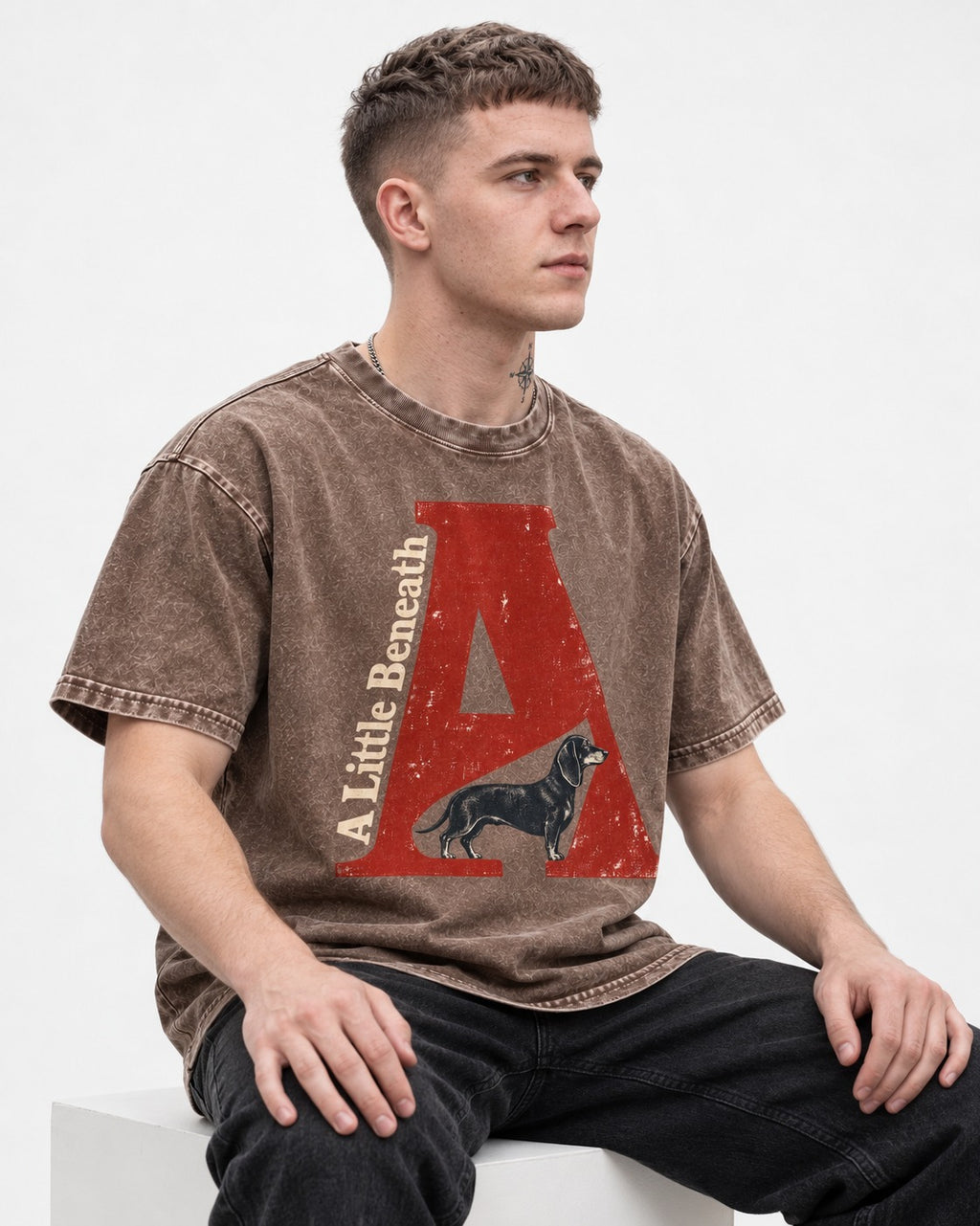Dachshund A Little Beneath Monumental Letter Graphic Washed Tee in Coffee, worn by a seated model