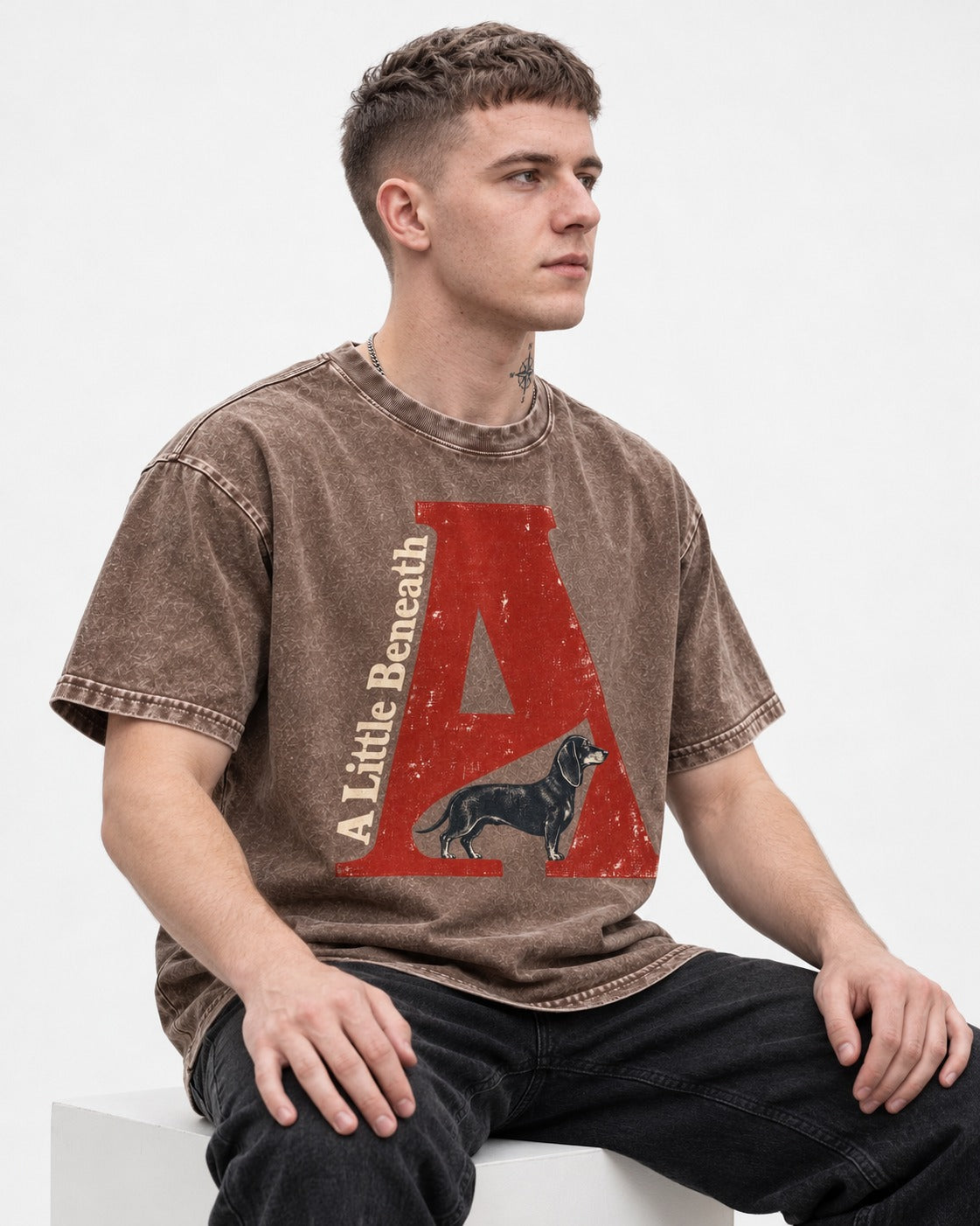 Dachshund A Little Beneath Monumental Letter Graphic Washed Tee in Coffee, worn by a seated model