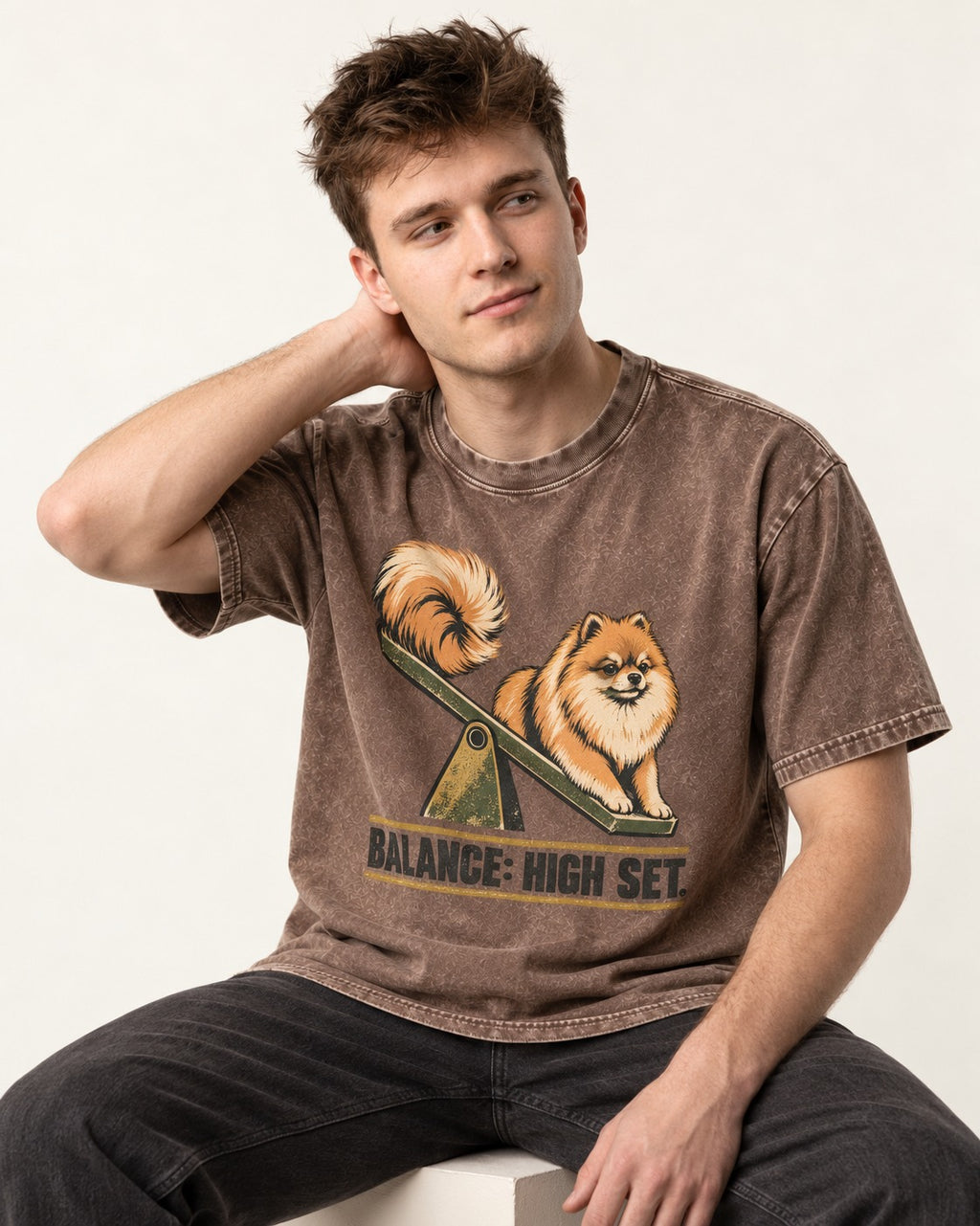 Pomeranian Balance High Set Washed Tee in Coffee, worn by a seated model