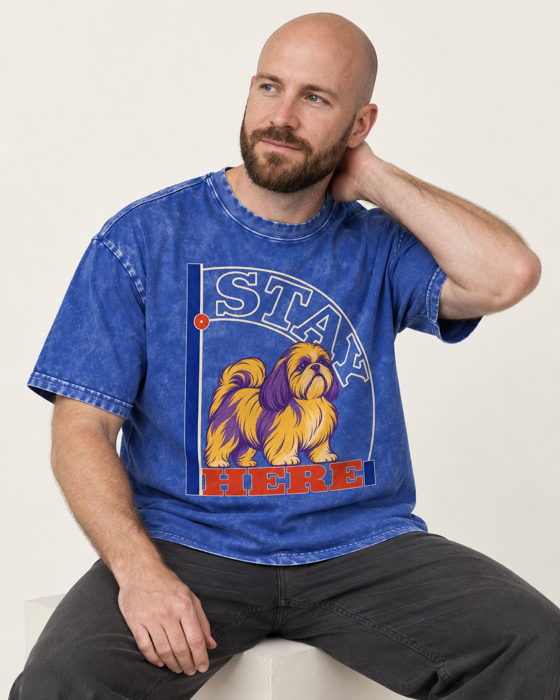 Shih Tzu Stay Here Semicircle Sign Graphic Washed Tee in Royal Blue, worn by a seated model