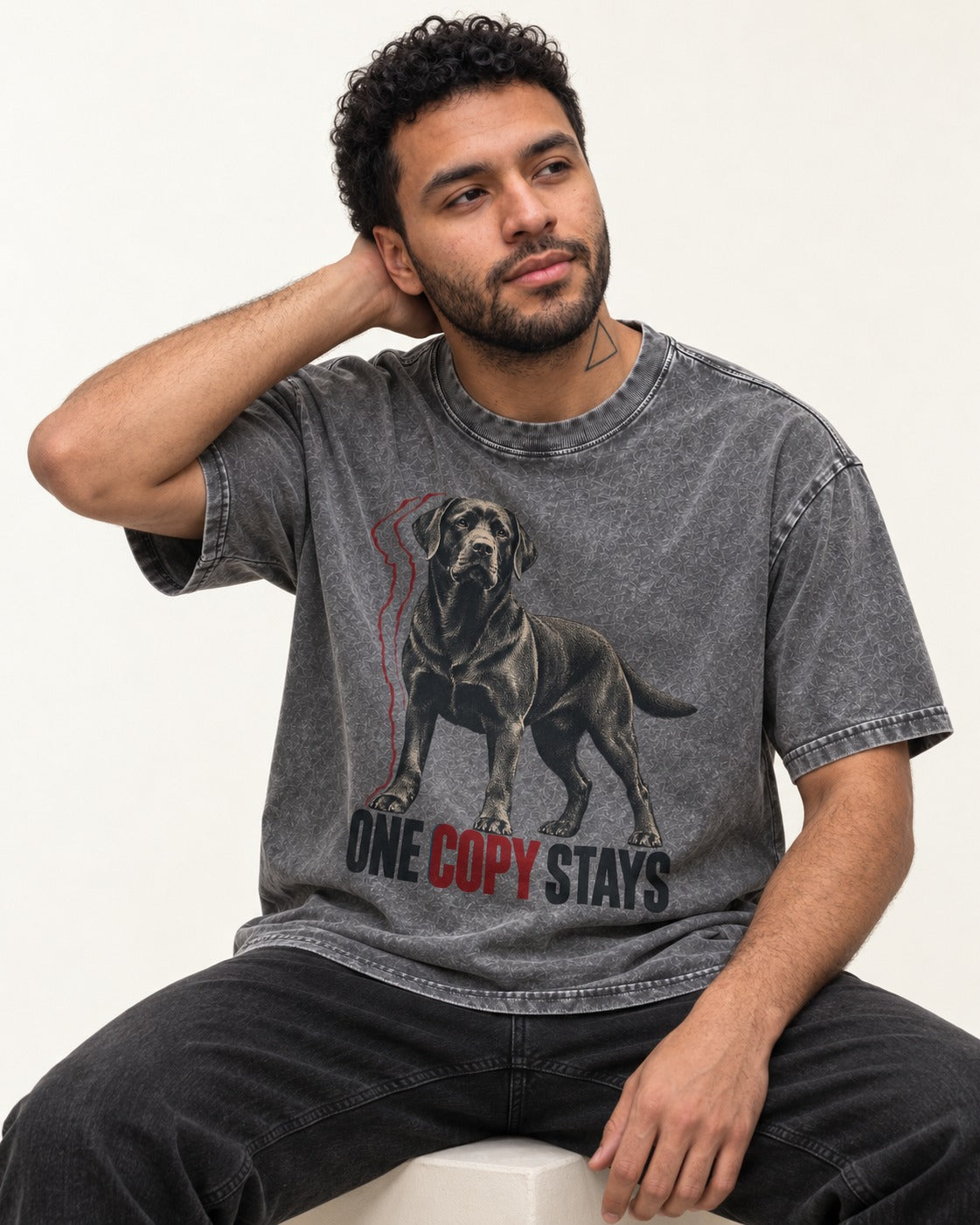 One Copy Stays Labrador Retriever Washed Tee in Gray, worn by a seated model