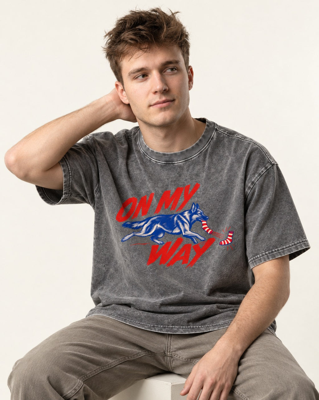 German Shepherd Dog On My Way Sock Chase Graphic Washed Tee in Gray, worn by a seated model