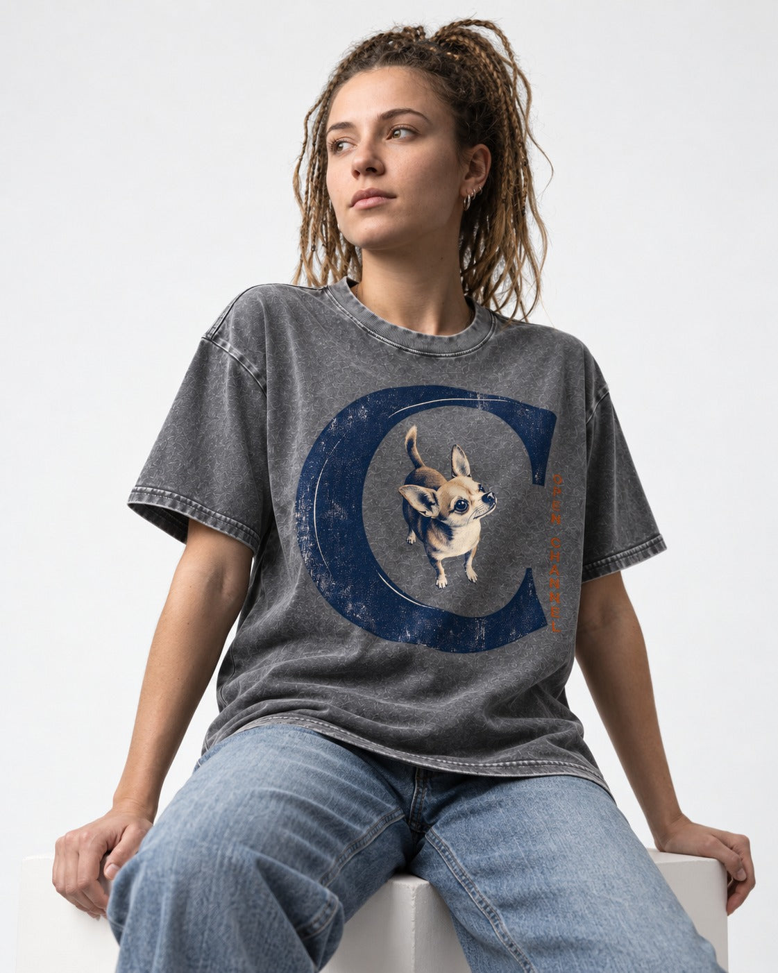 Chihuahua Open Channel Washed Tee in Gray, worn by a seated model