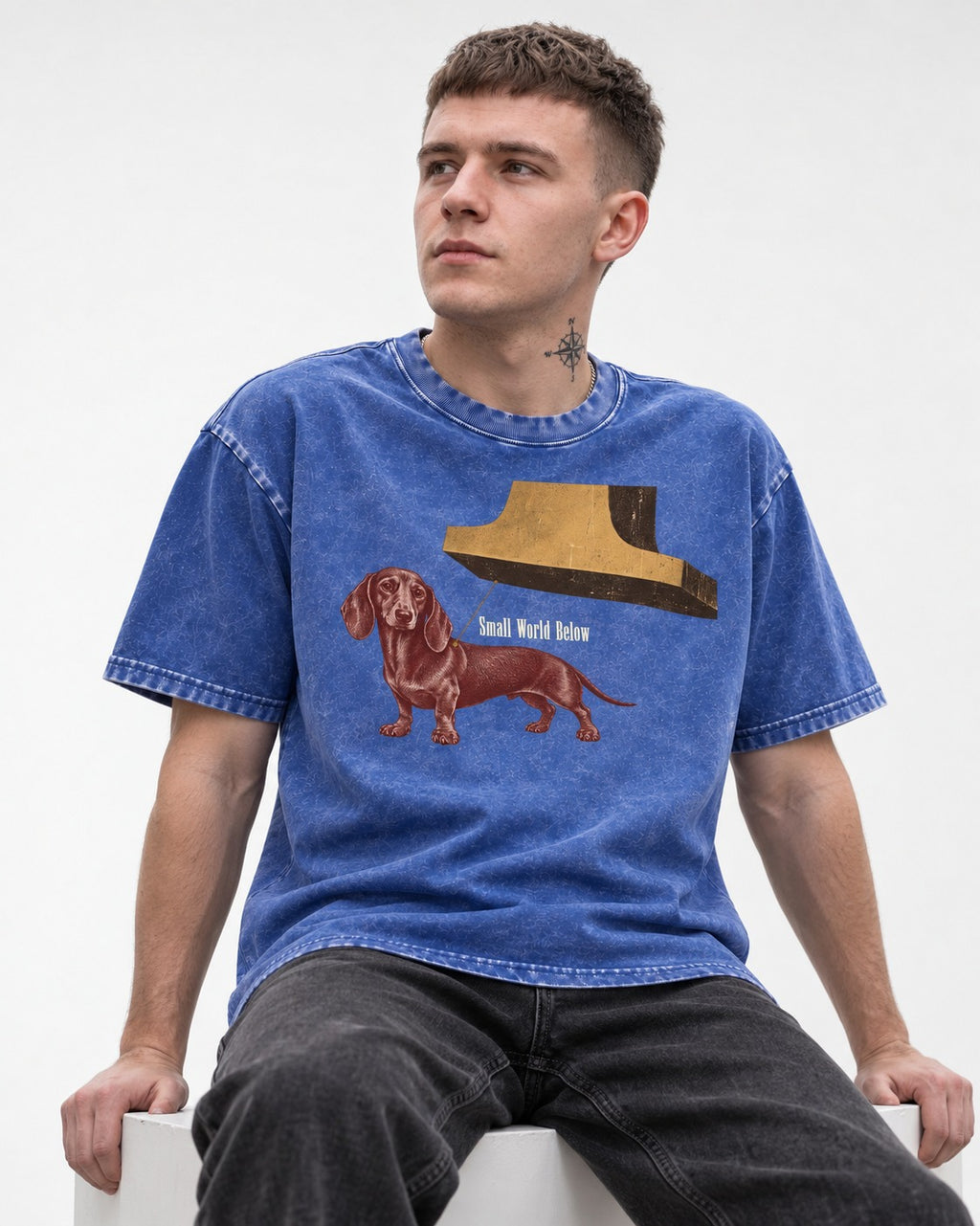 Dachshund Small World Below Giant Shoe Graphic Washed Tee in Royal Blue, worn by a seated model