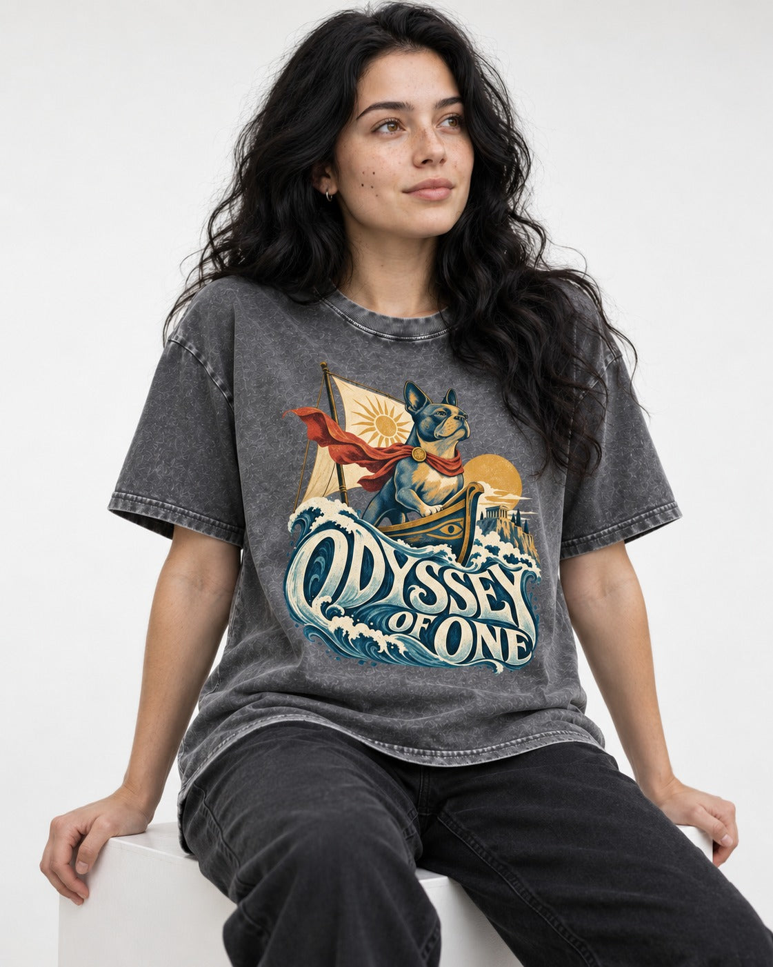 Boston Terrier Odyssey of One Washed Tee in Gray, worn by a seated model