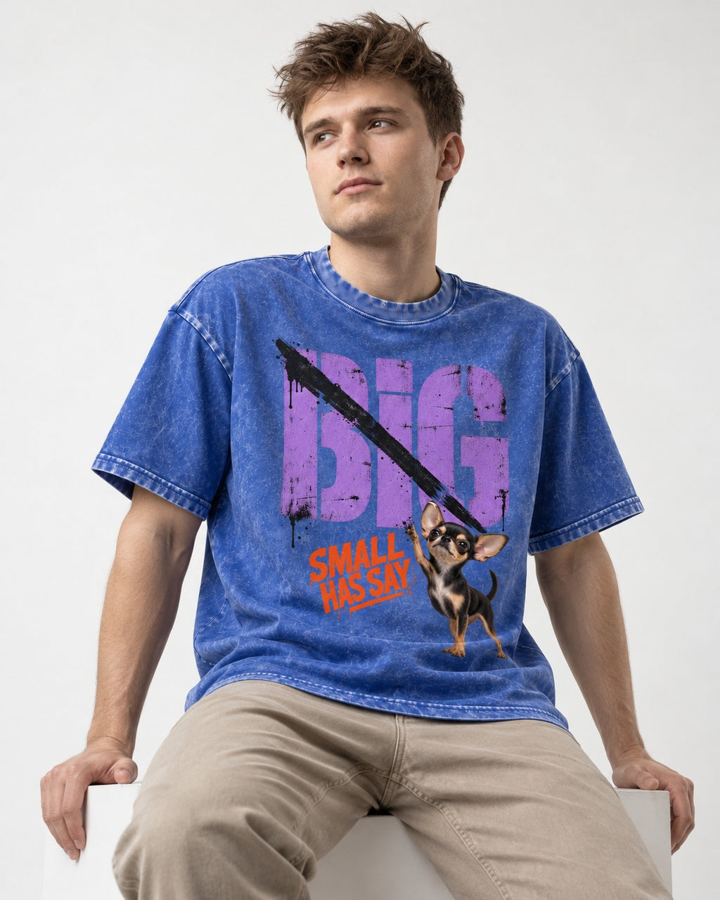 Chihuahua Big Small Has Say Diagonal Slash Graphic Washed Tee in Royal Blue, worn by a seated model