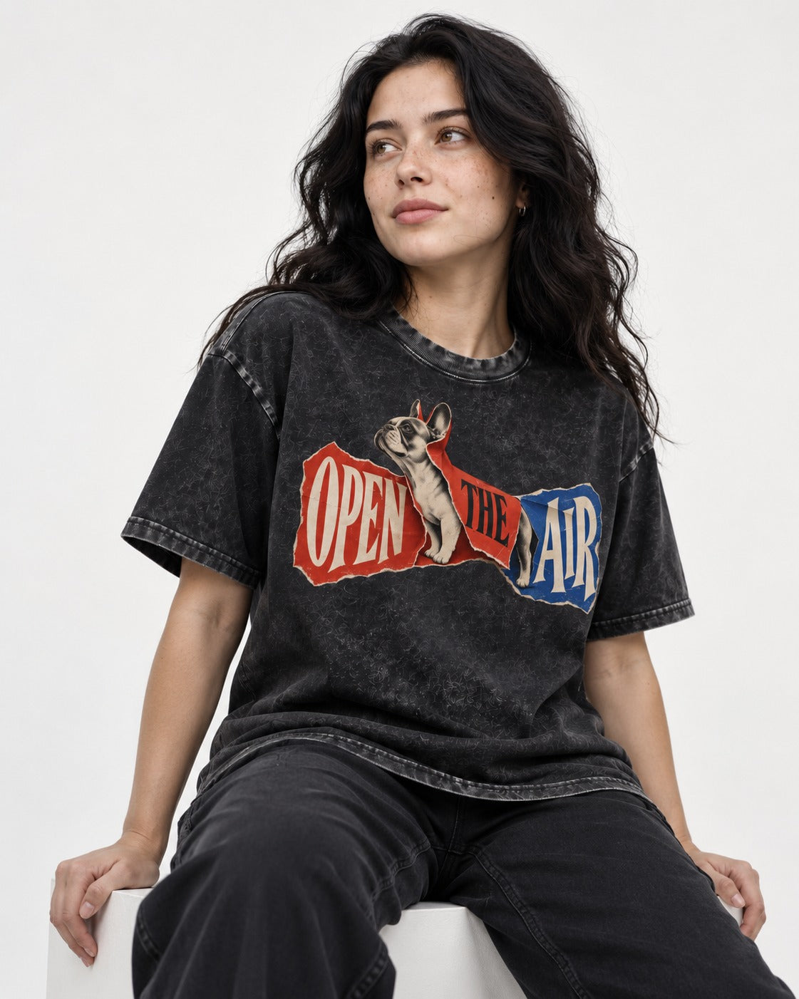 Frenchie Open the Air Torn Poster Graphic Washed Tee in Black, worn by a seated model