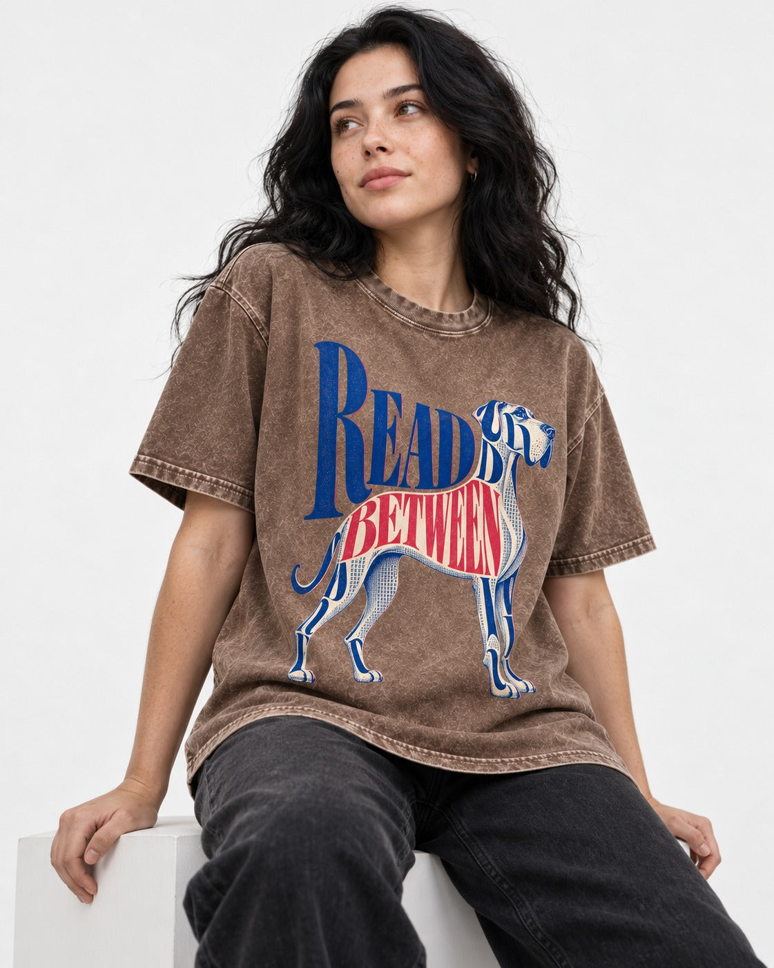 Read Between the Lines Great Dane Washed Tee in Coffee, worn by a seated model