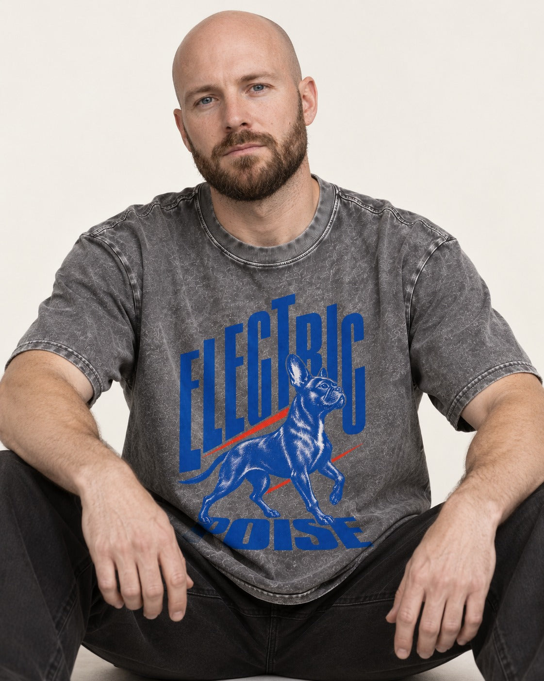 Boston Terrier Electric Poise Washed Tee in Gray, worn by a seated model