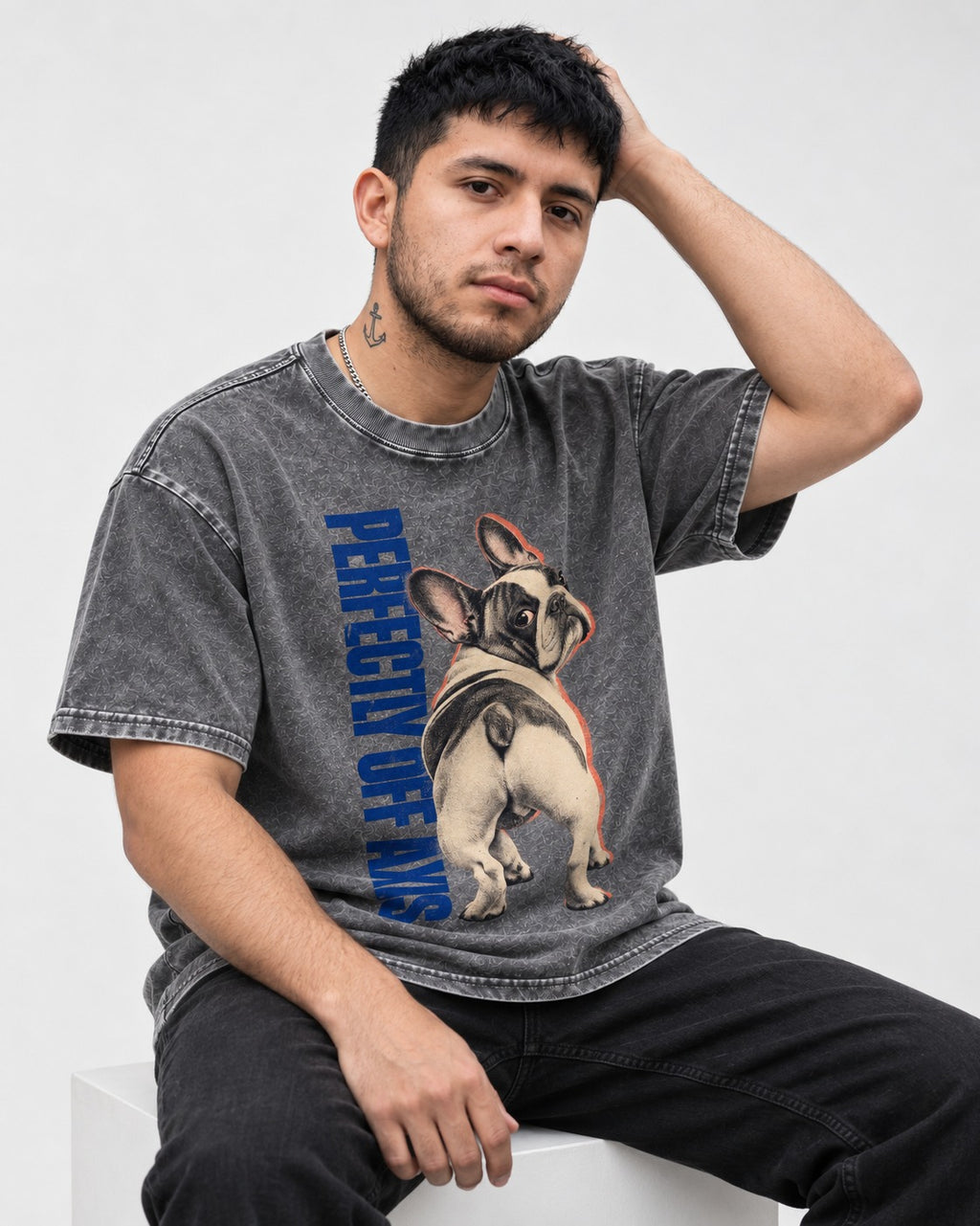Perfectly Off Axis Frenchie Washed Tee in Gray, worn by a seated model
