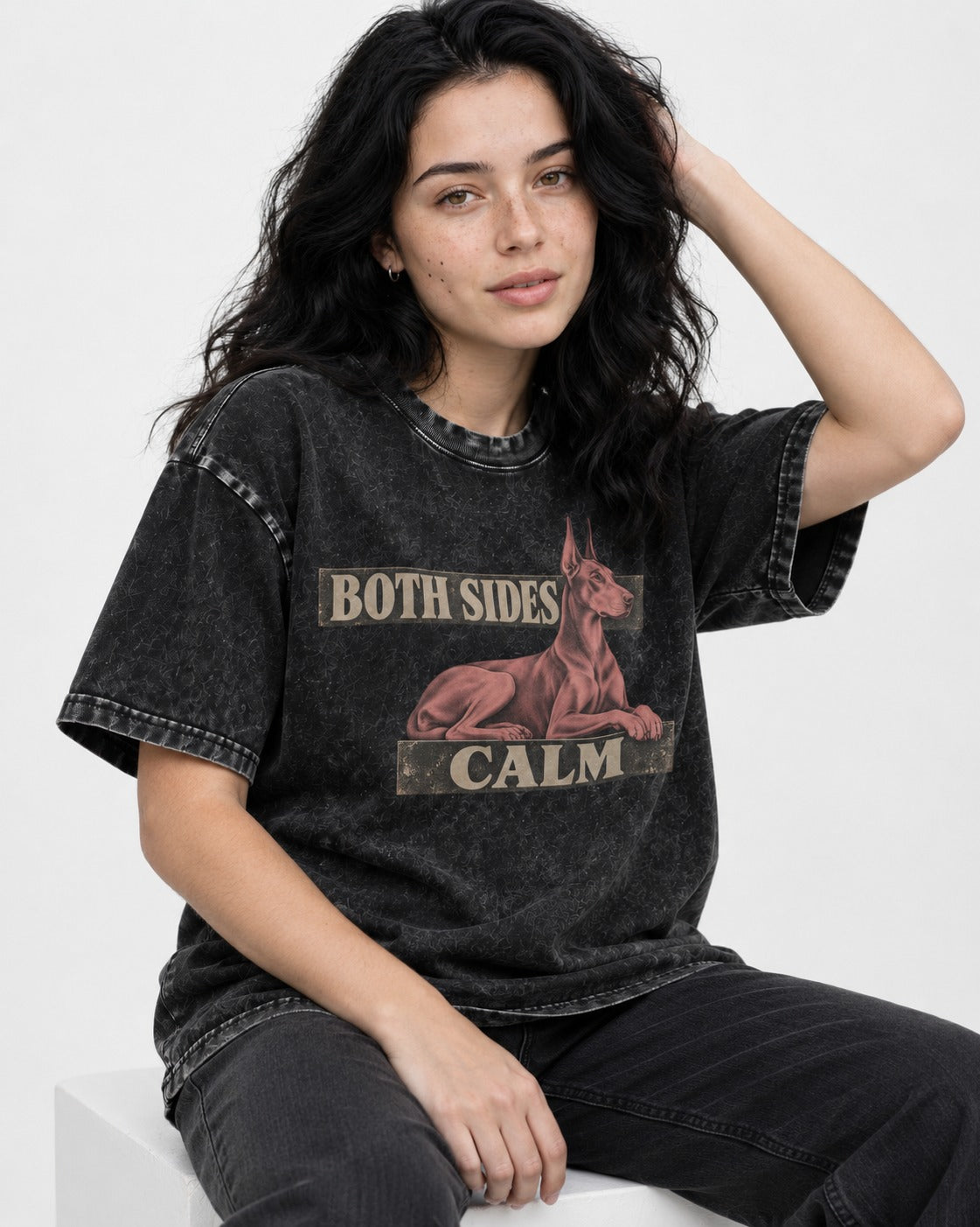 Doberman Both Sides Calm Banner Washed Tee in Black, worn by a seated model
