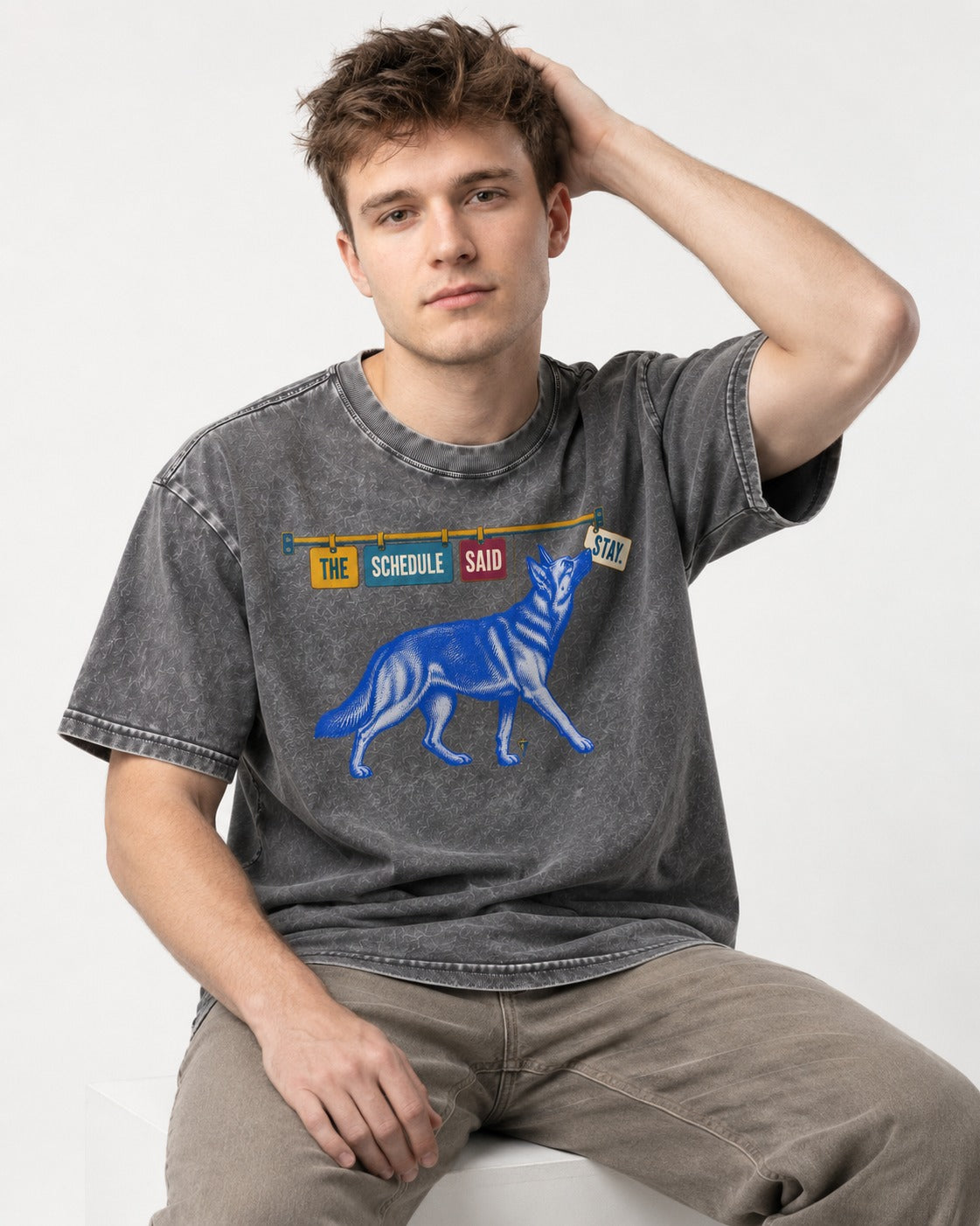German Shepherd Dog The Schedule Said Stay Graphic Washed Tee in Gray, worn by a seated model