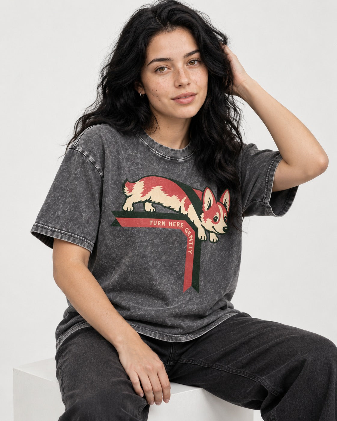 Corgi Turn Here Gently Washed Tee in Gray, worn by a seated model