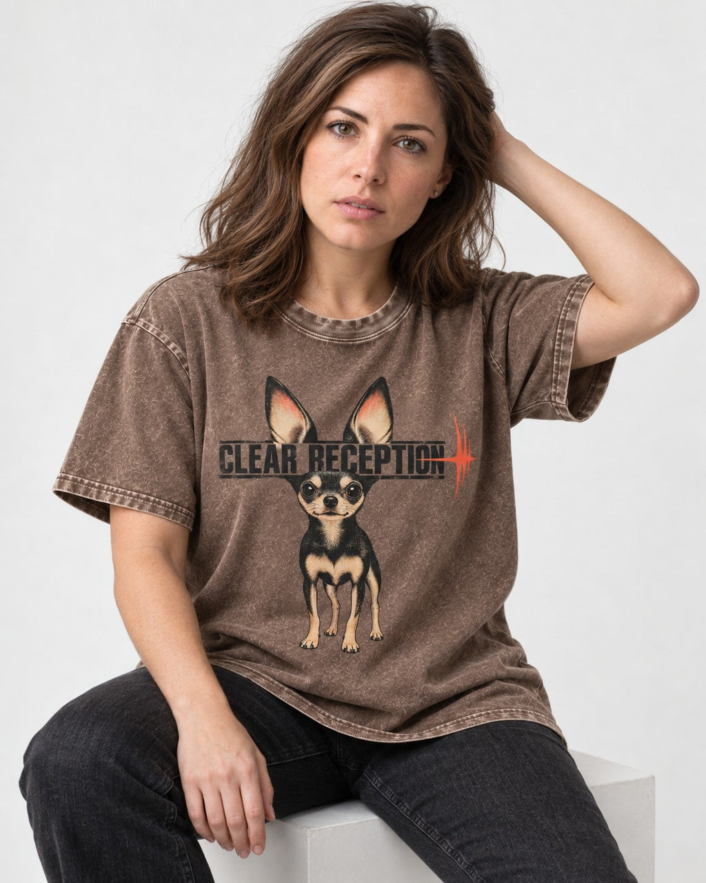 Chihuahua Clear Reception Washed Tee in Coffee, worn by a seated model