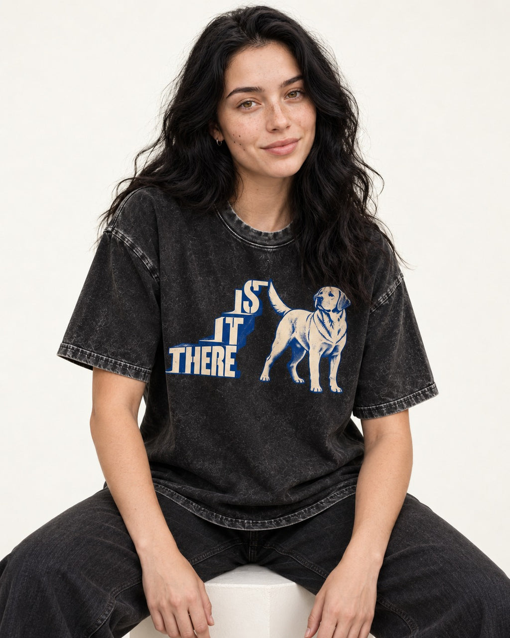 Labrador Retriever Is It There Stair-Step Graphic Washed Tee in Black, worn by a seated model