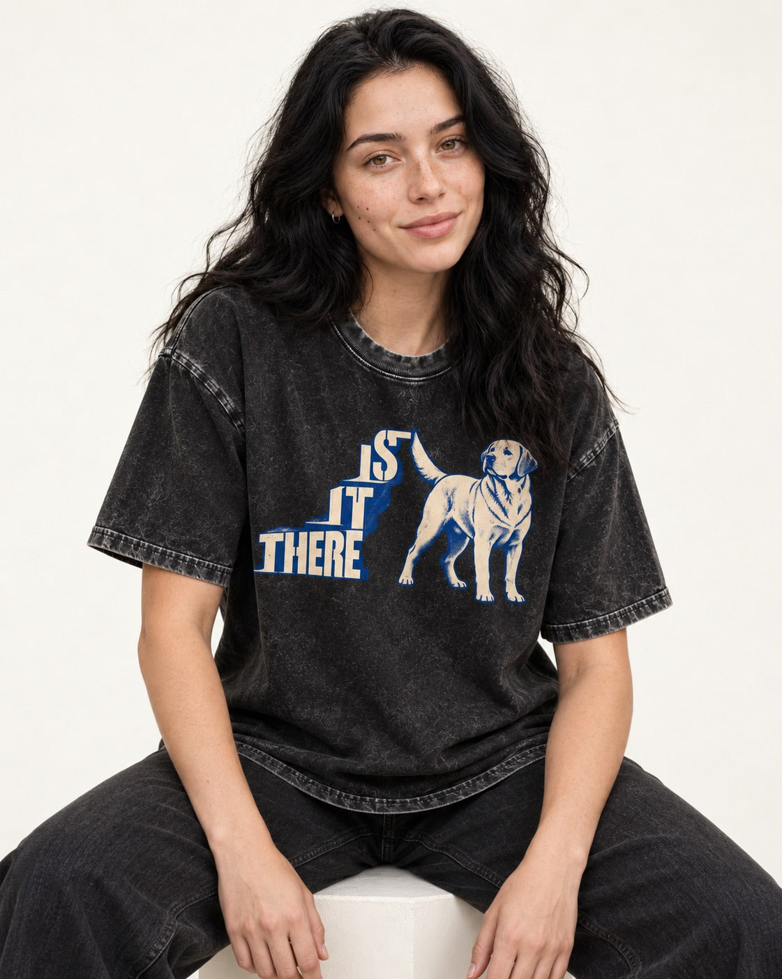 Labrador Retriever Is It There Stair-Step Graphic Washed Tee in Black, worn by a seated model