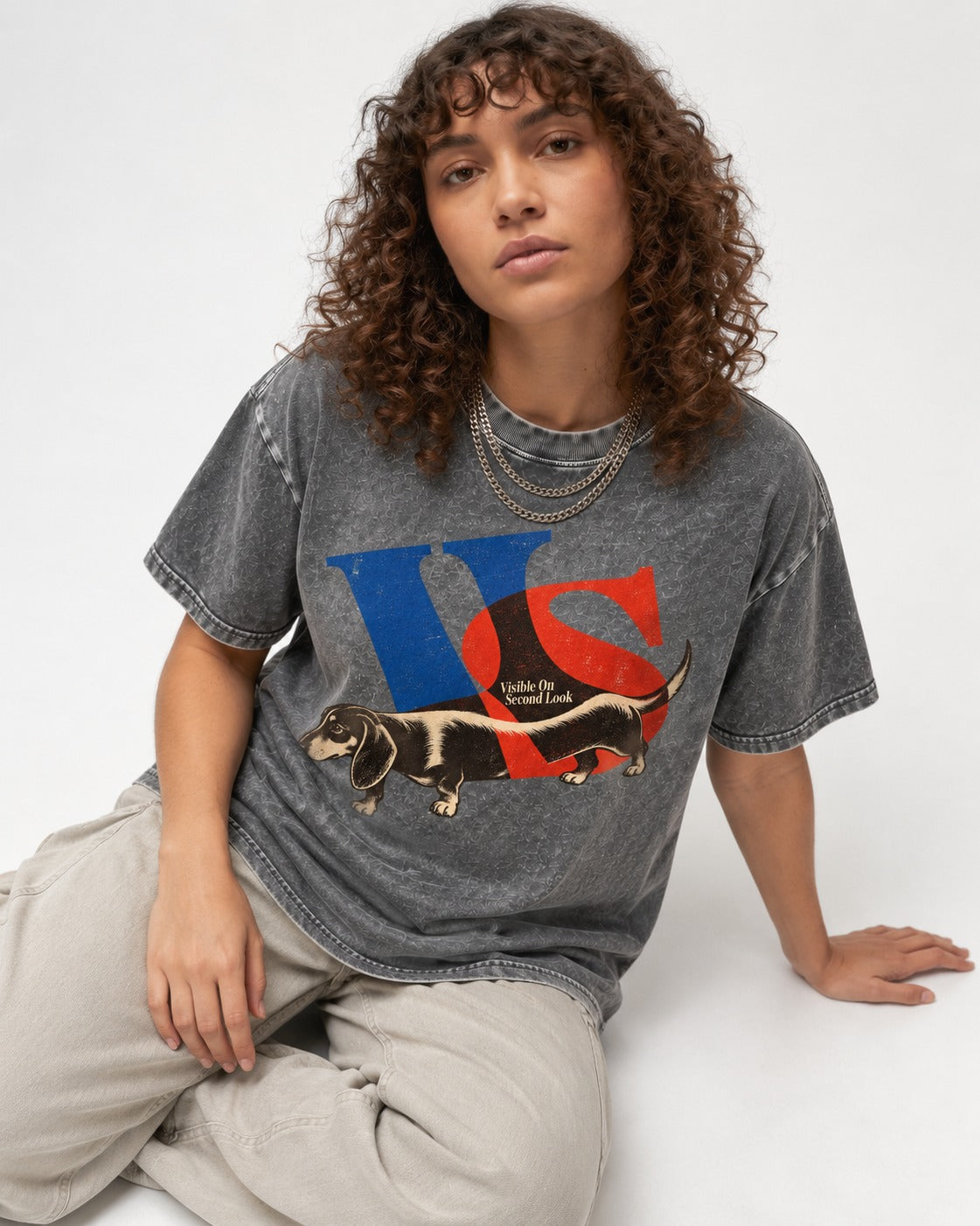 Dachshund VS Visible On Second Look Graphic Washed Tee in Gray, worn by a seated model