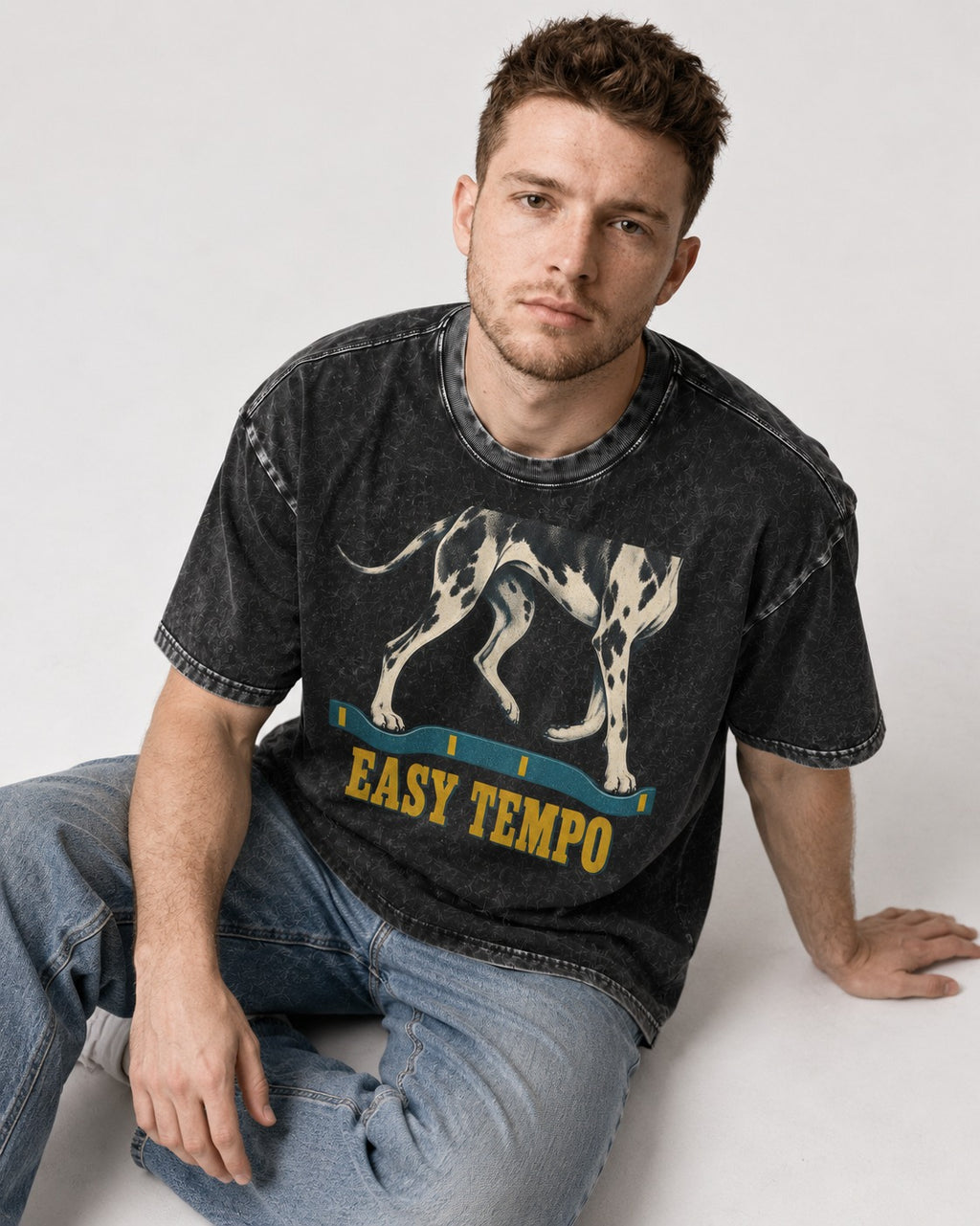 Great Dane Easy Tempo Elastic Band Legs Graphic Washed Tee in Black, worn by a seated model