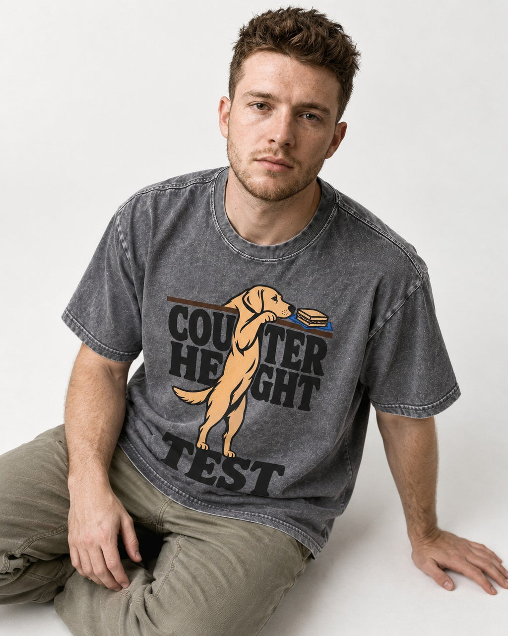 Labrador Retriever Counter Height Test Washed Tee in Gray, worn by a seated model
