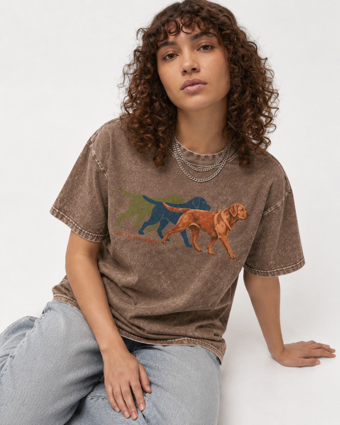 Take the Long Moment Labrador Retriever Washed Tee in Coffee, worn by a seated model