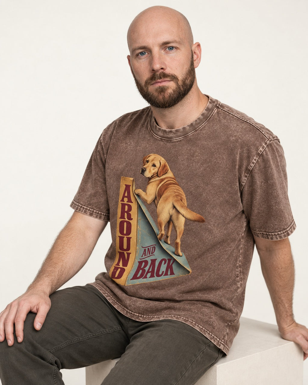 Labrador Retriever Around and Back Washed Tee in Coffee, worn by a seated model