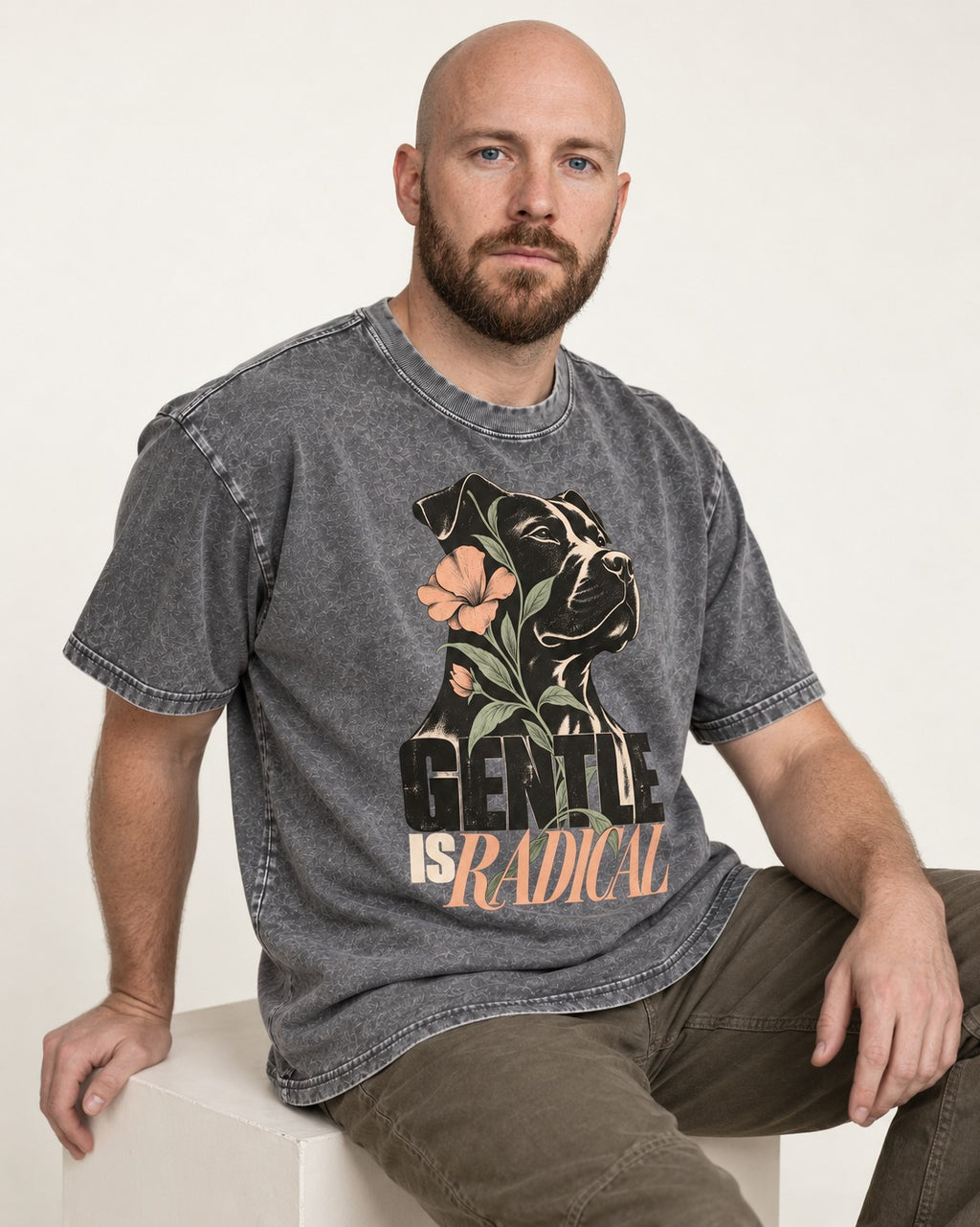 Gentle Pitbull Is Radical Washed Tee in Gray, worn by a seated model
