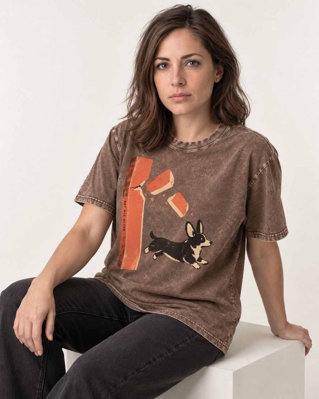 Not All Glued Corgi Washed Tee in Coffee, worn by a seated model