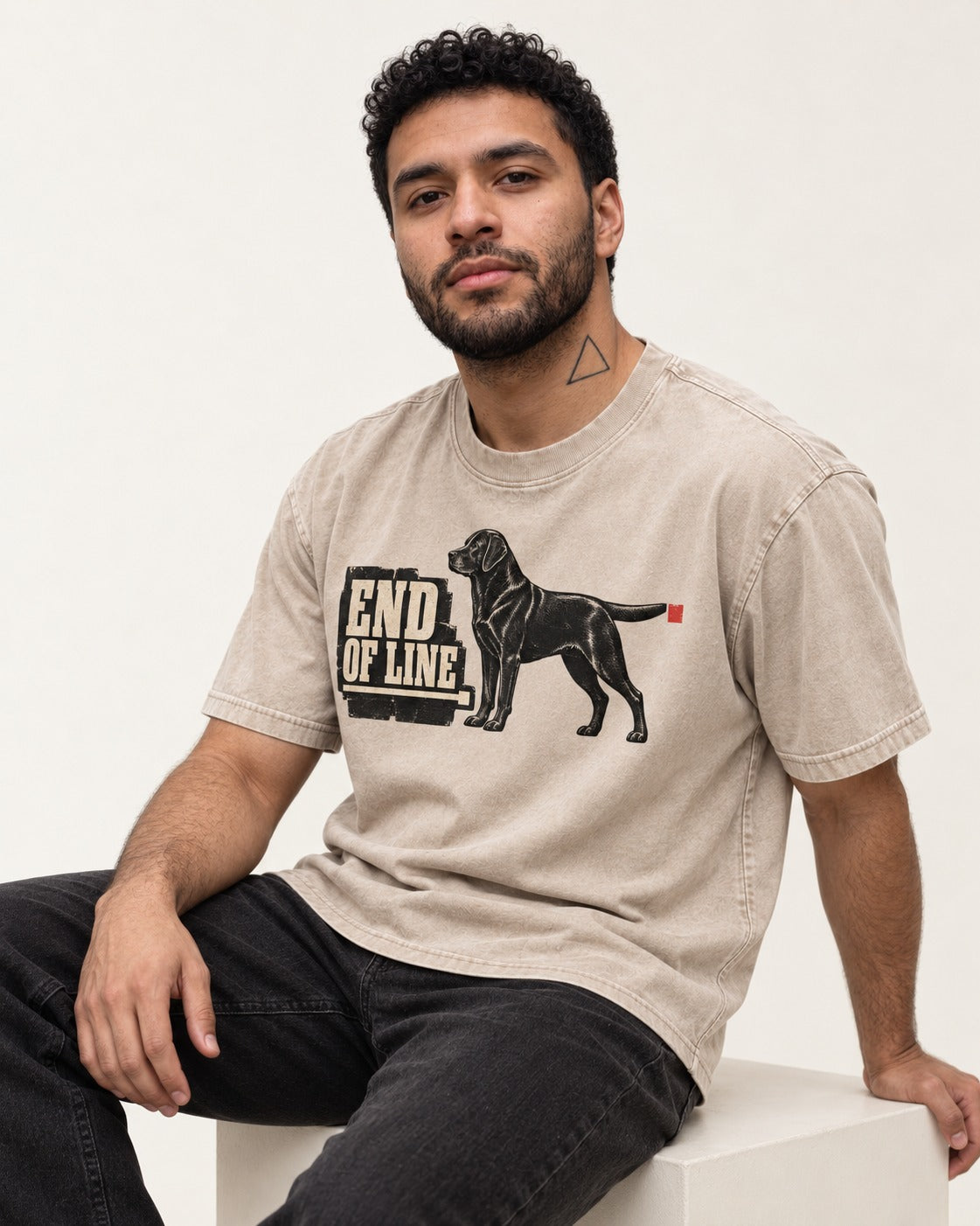 End of Line Labrador Retriever Washed Tee in Apricot, worn by a seated model