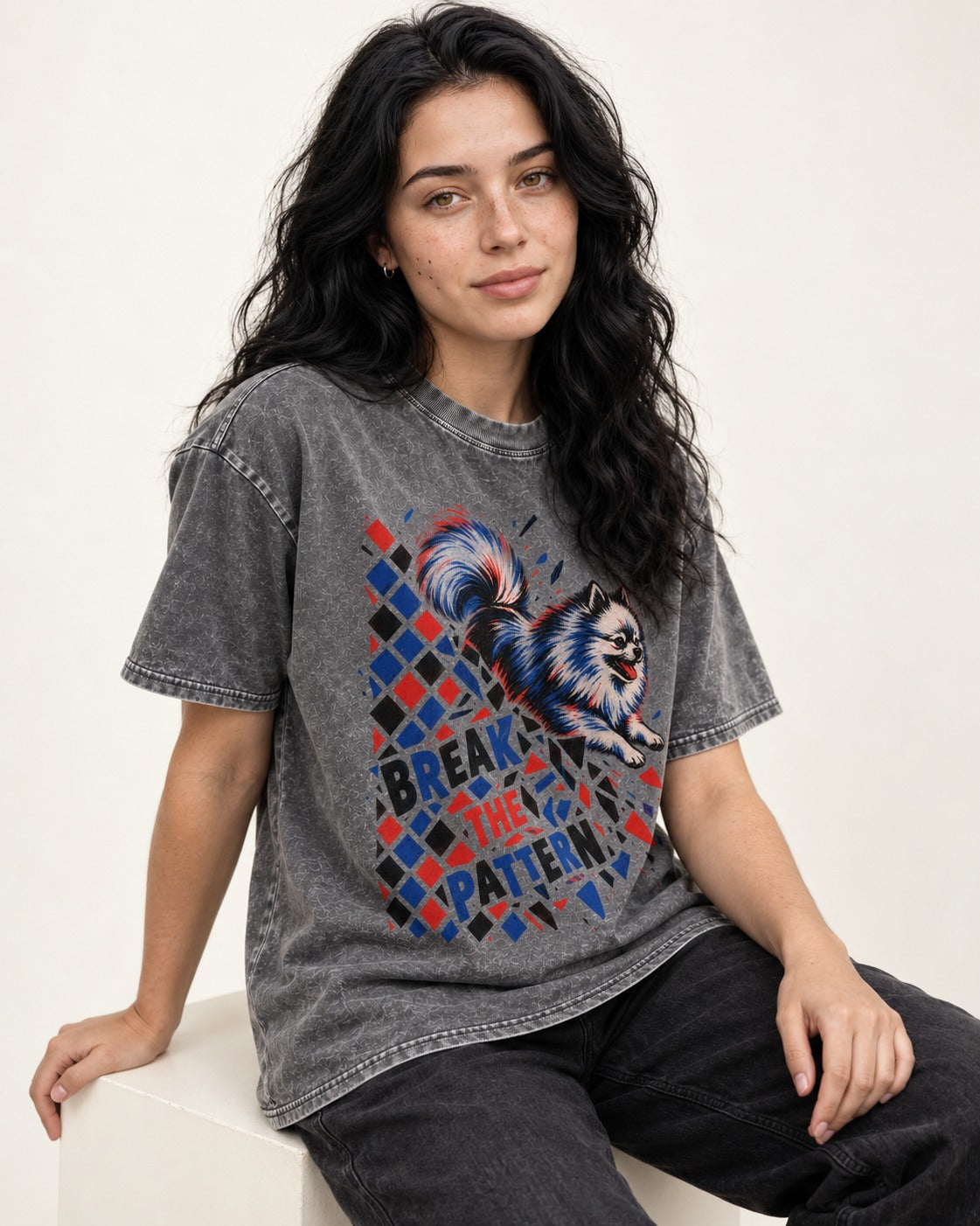 Pomeranian Break the Pattern Washed Tee in Gray, worn by a seated model