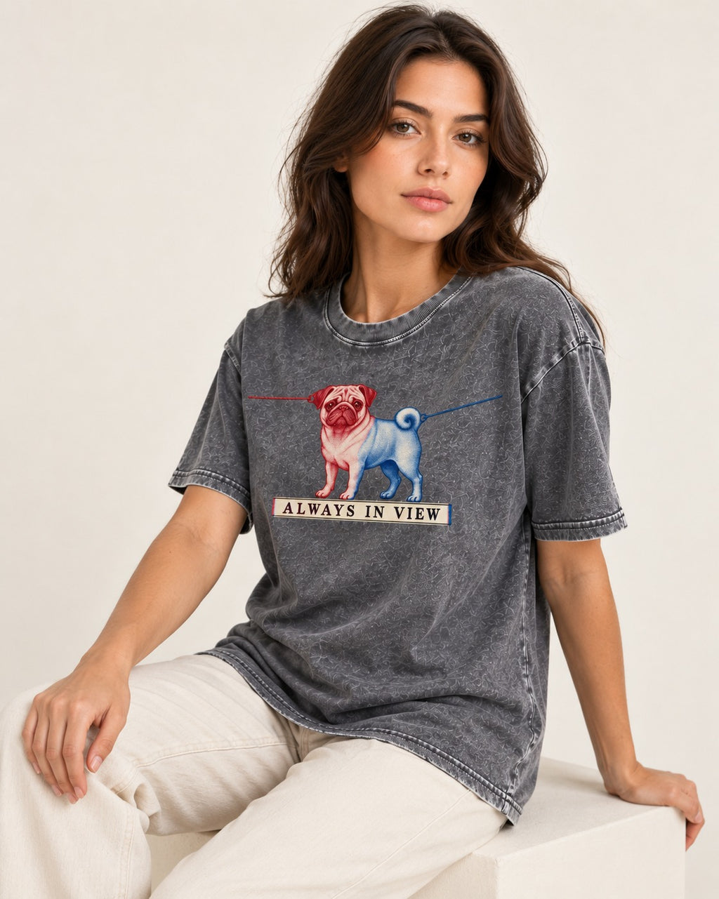 Pug Always in View Split Leash Graphic Washed Tee in Gray, worn by a seated model