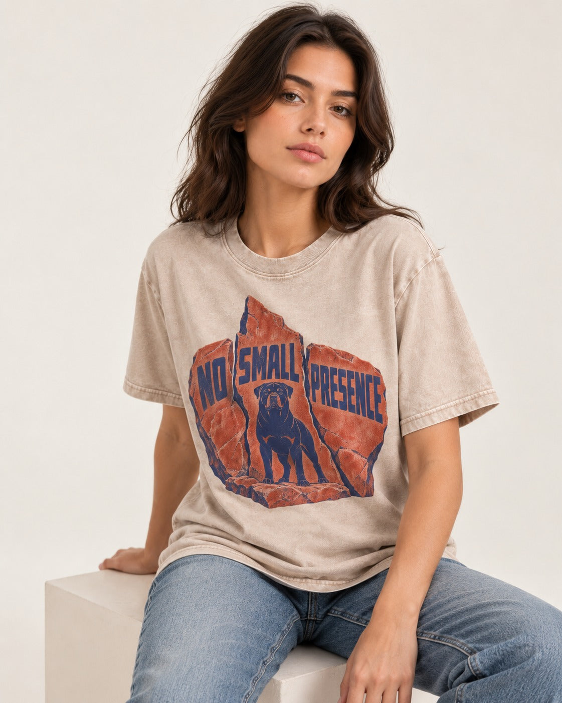 Rottweiler No Small Presence Monument Rock Graphic Washed Tee in Apricot, worn by a seated model