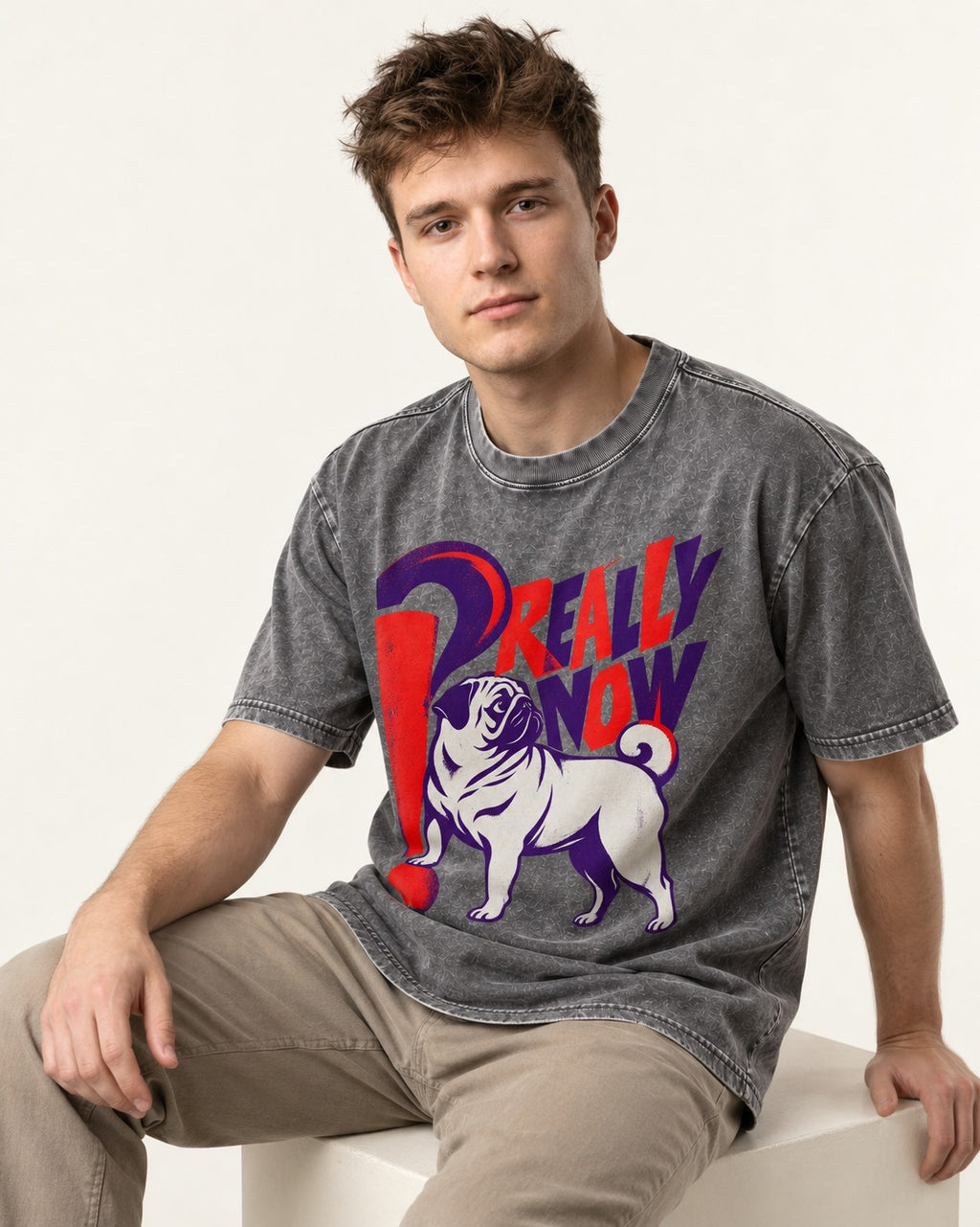 Really Now Pug Washed Tee in Gray, worn by a seated model
