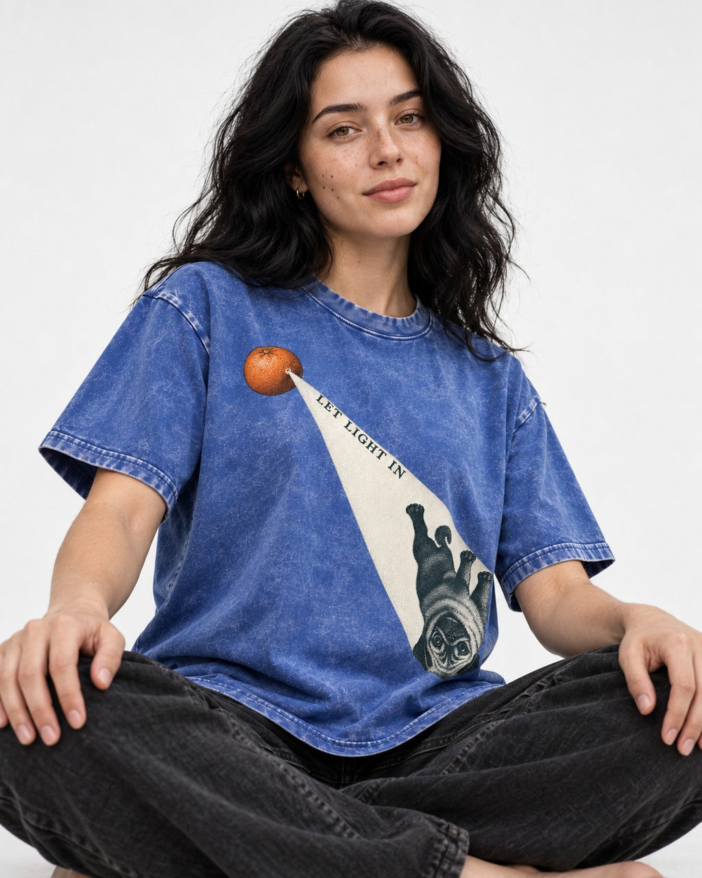Pug Let Light In Camera Obscura Graphic Washed Tee in Royal Blue, worn by a seated model