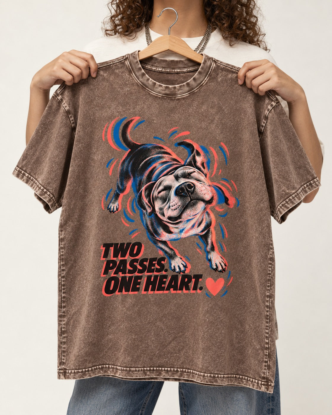 Two Passes One Heart Pitbull Washed Tee in Coffee, held up on a hanger