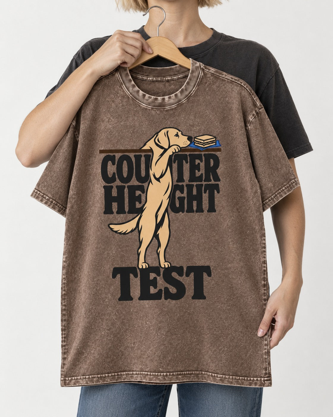 Labrador Retriever Counter Height Test Washed Tee in Coffee, held up on a hanger