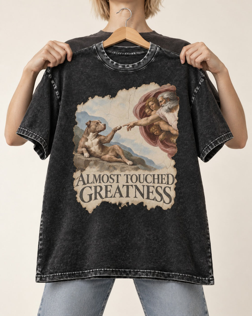 Pitbull Almost Touched Greatness Creation Parody Graphic Washed Tee in Black, held up on a hanger