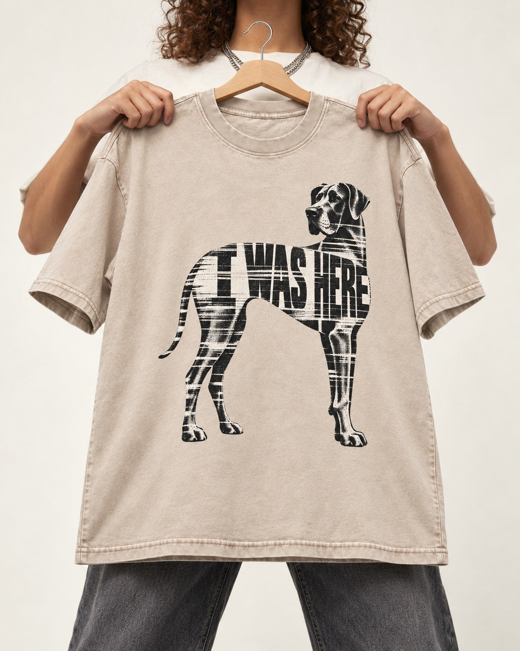 Great Dane I Was Here Plaid Silhouette Graphic Washed Tee in Apricot, held up on a hanger