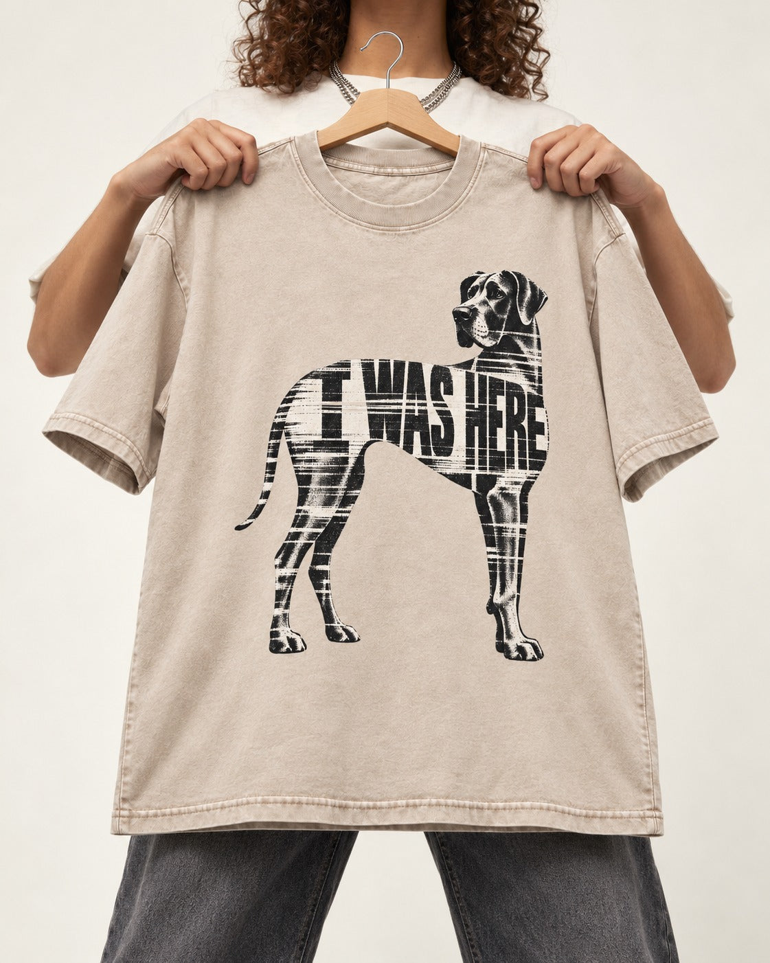 Great Dane I Was Here Plaid Silhouette Graphic Washed Tee in Apricot, held up on a hanger