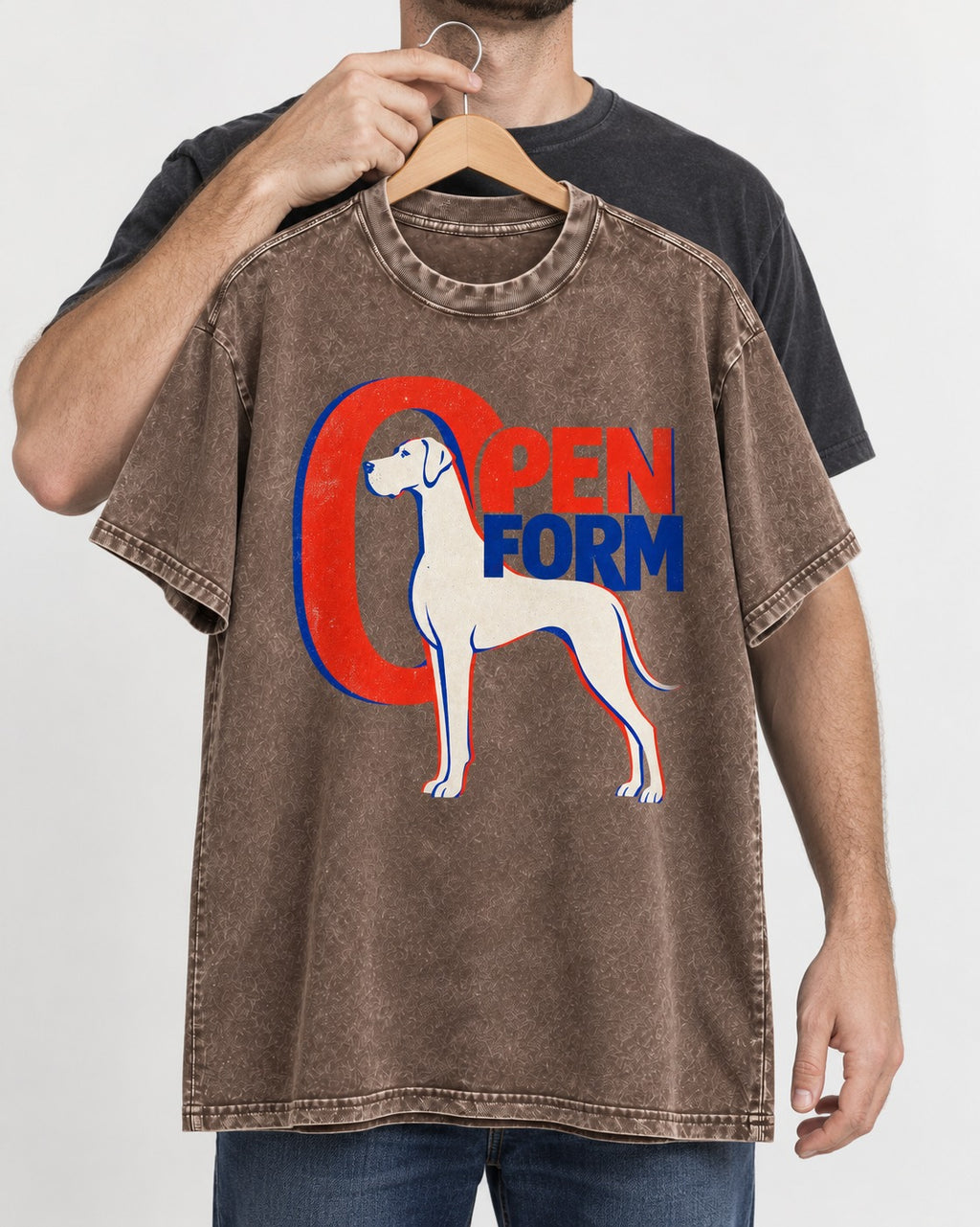 Open Form Great Dane Washed Tee in Coffee, held up on a hanger