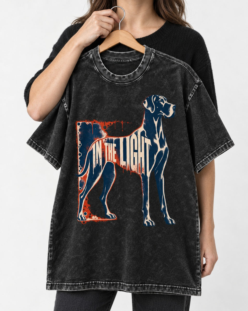 Great Dane In the Light Industrial Frame Graphic Washed Tee in Black, held up on a hanger