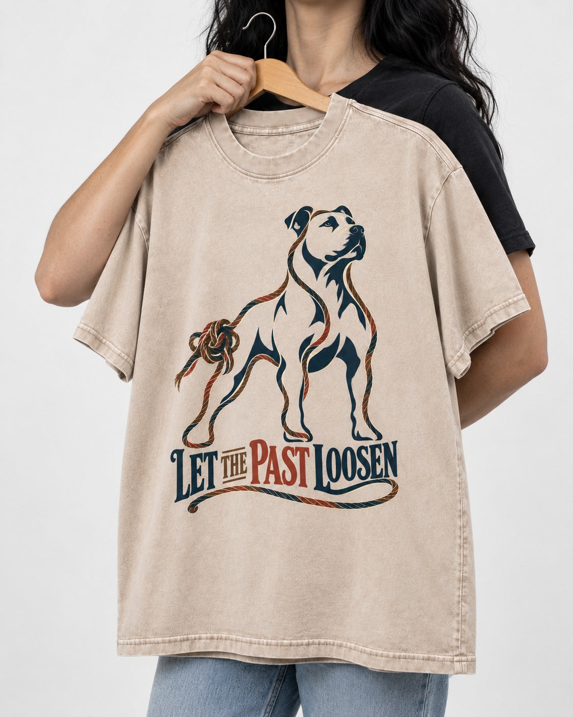 Pitbull Let the Past Loosen Washed Tee in Apricot, held up on a hanger