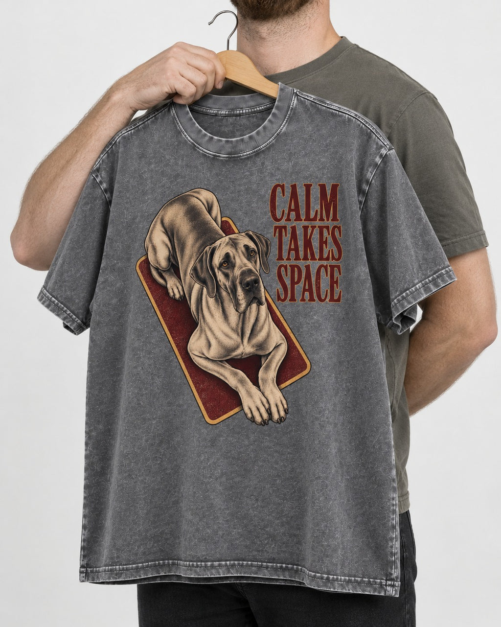 Great Dane Calm Takes Space Washed Tee in Gray, held up on a hanger
