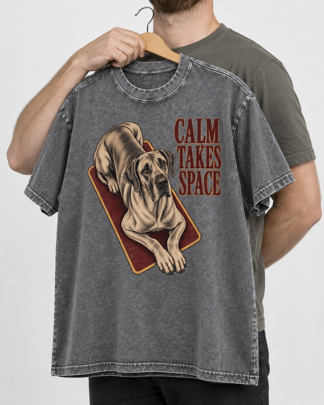 Great Dane Calm Takes Space Washed Tee in Gray, held up on a hanger