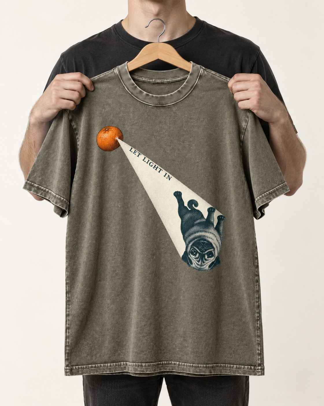 Pug Let Light In Camera Obscura Graphic Washed Tee in Army Green, held up on a hanger