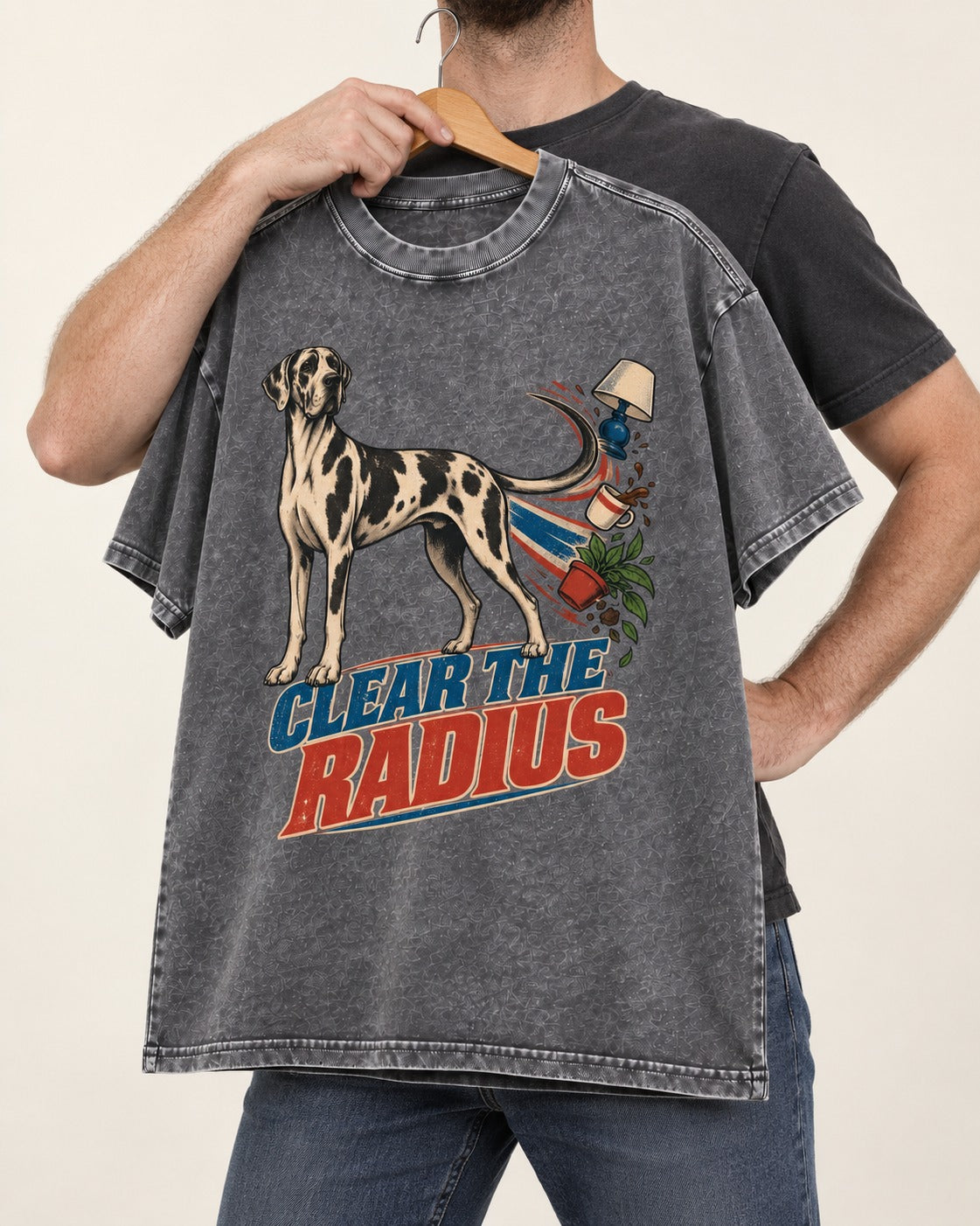 Great Dane Clear the Radius Washed Tee in Gray, held up on a hanger