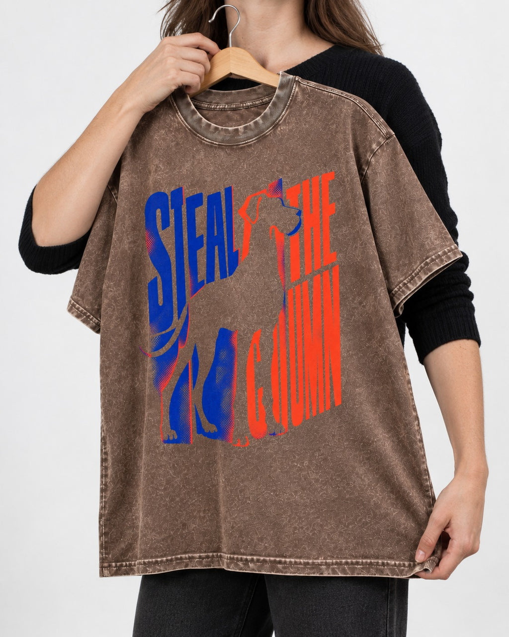 Steal the Show Great Dane Washed Tee in Coffee, held up on a hanger