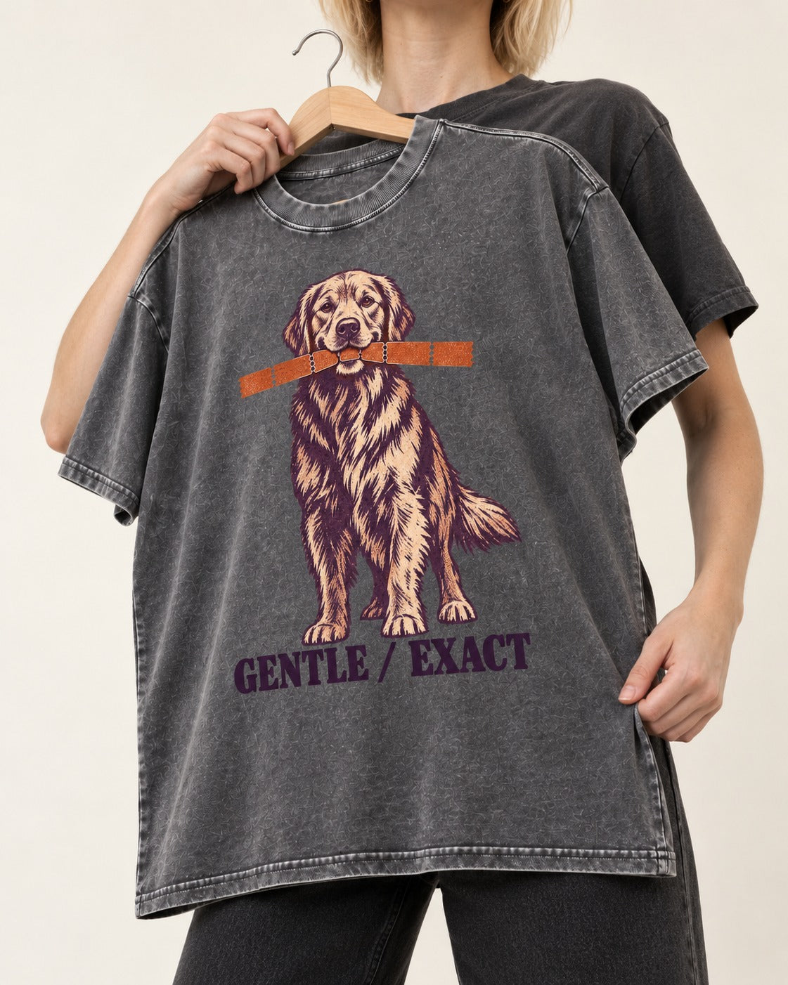 Golden Retriever Gentle Exact Paper Bridge Graphic Washed Tee in Gray, held up on a hanger